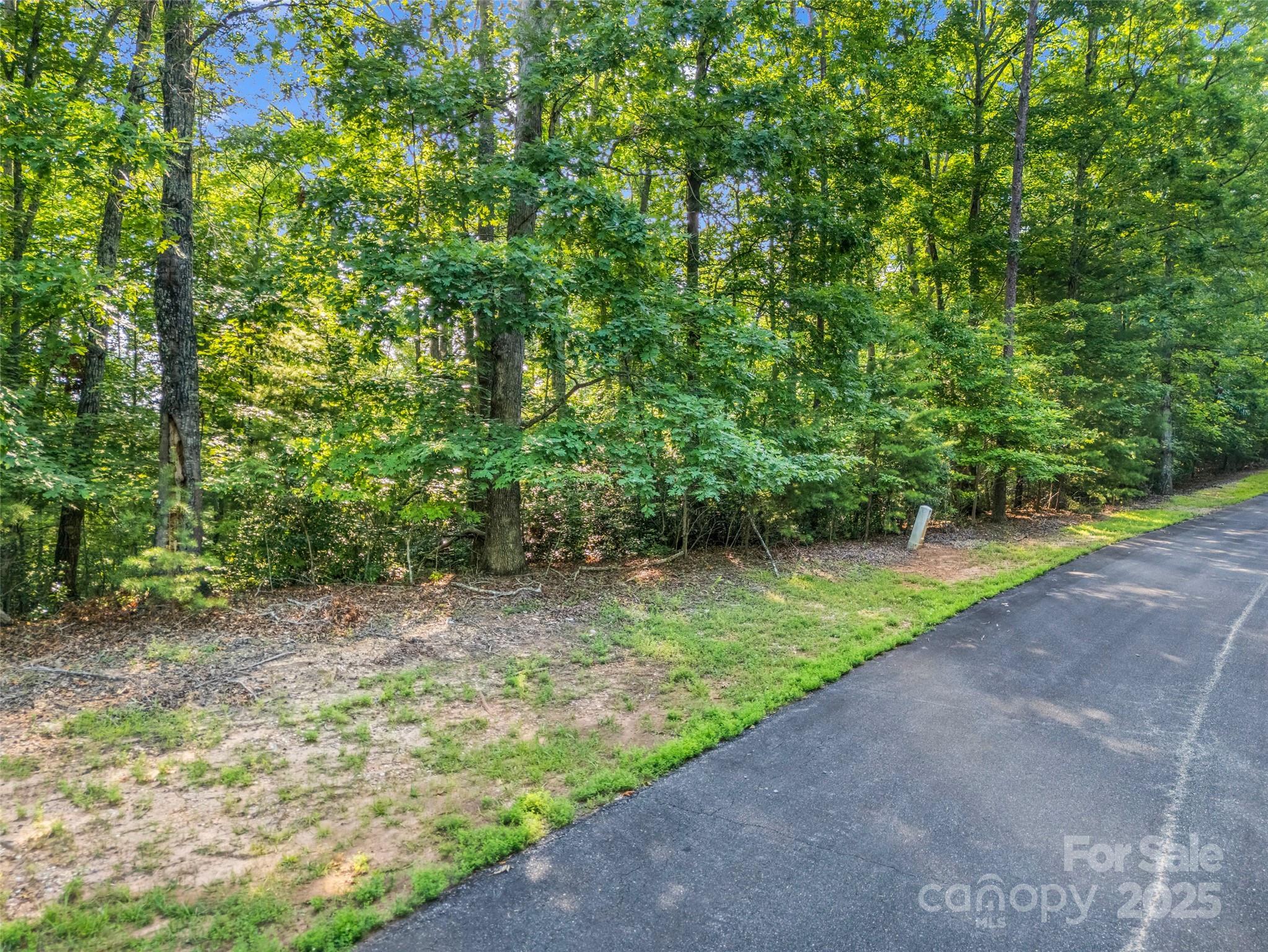 0 Forest Country Drive Lot 49 Property Photo 6