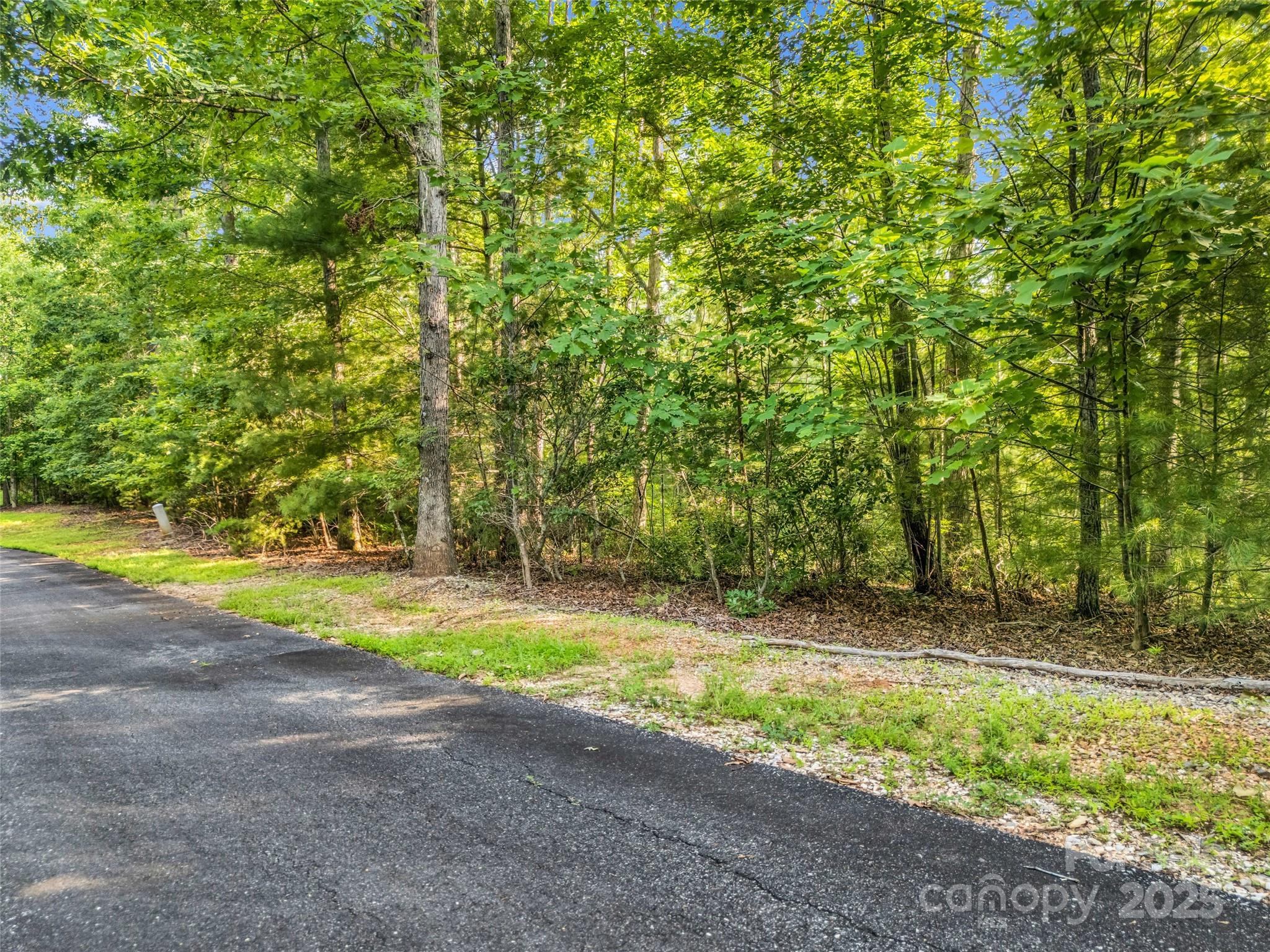 0 Forest Country Drive Lot 49 Property Photo 7