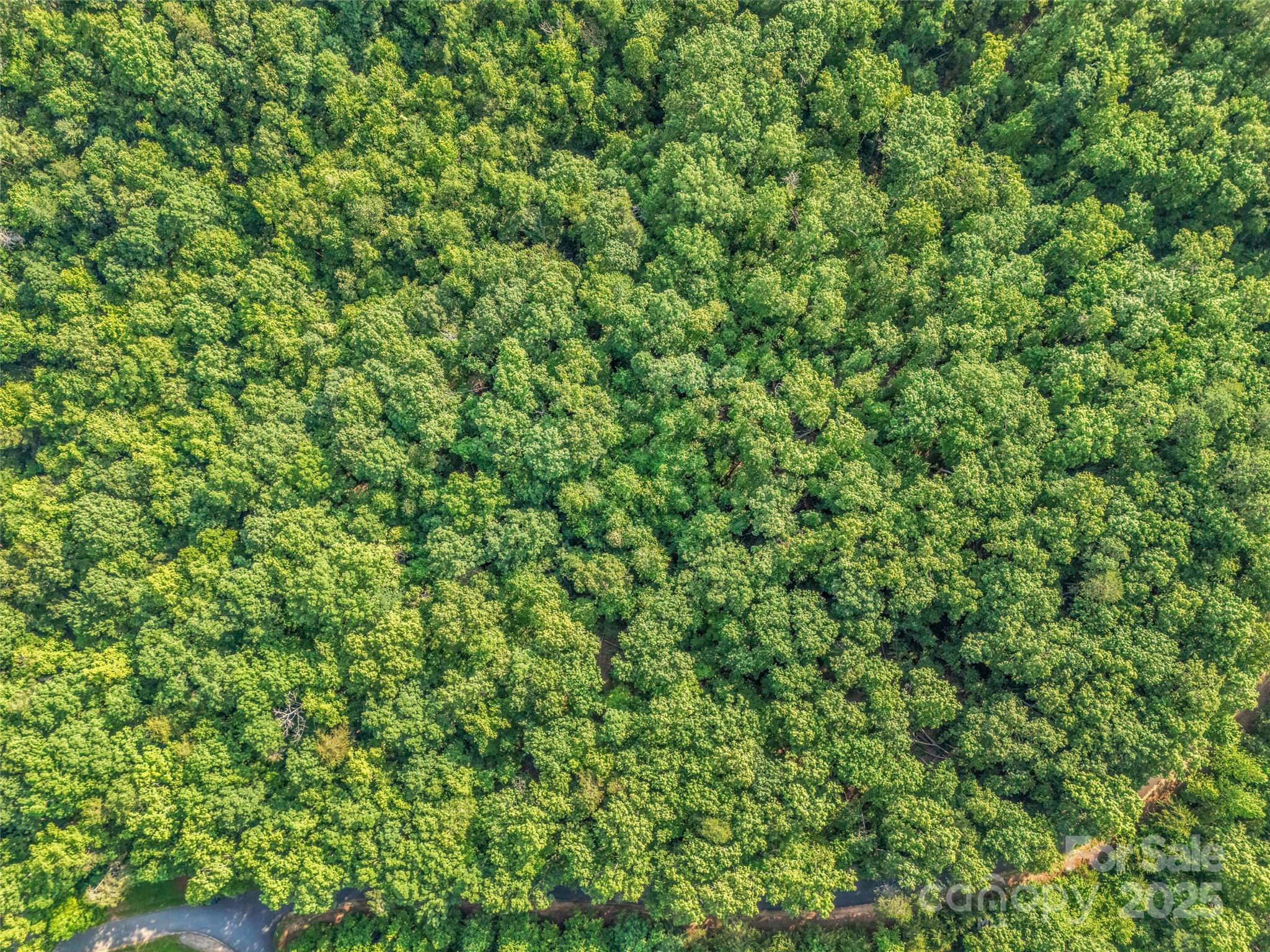 0 Forest Country Drive Lot 49 Property Photo 10