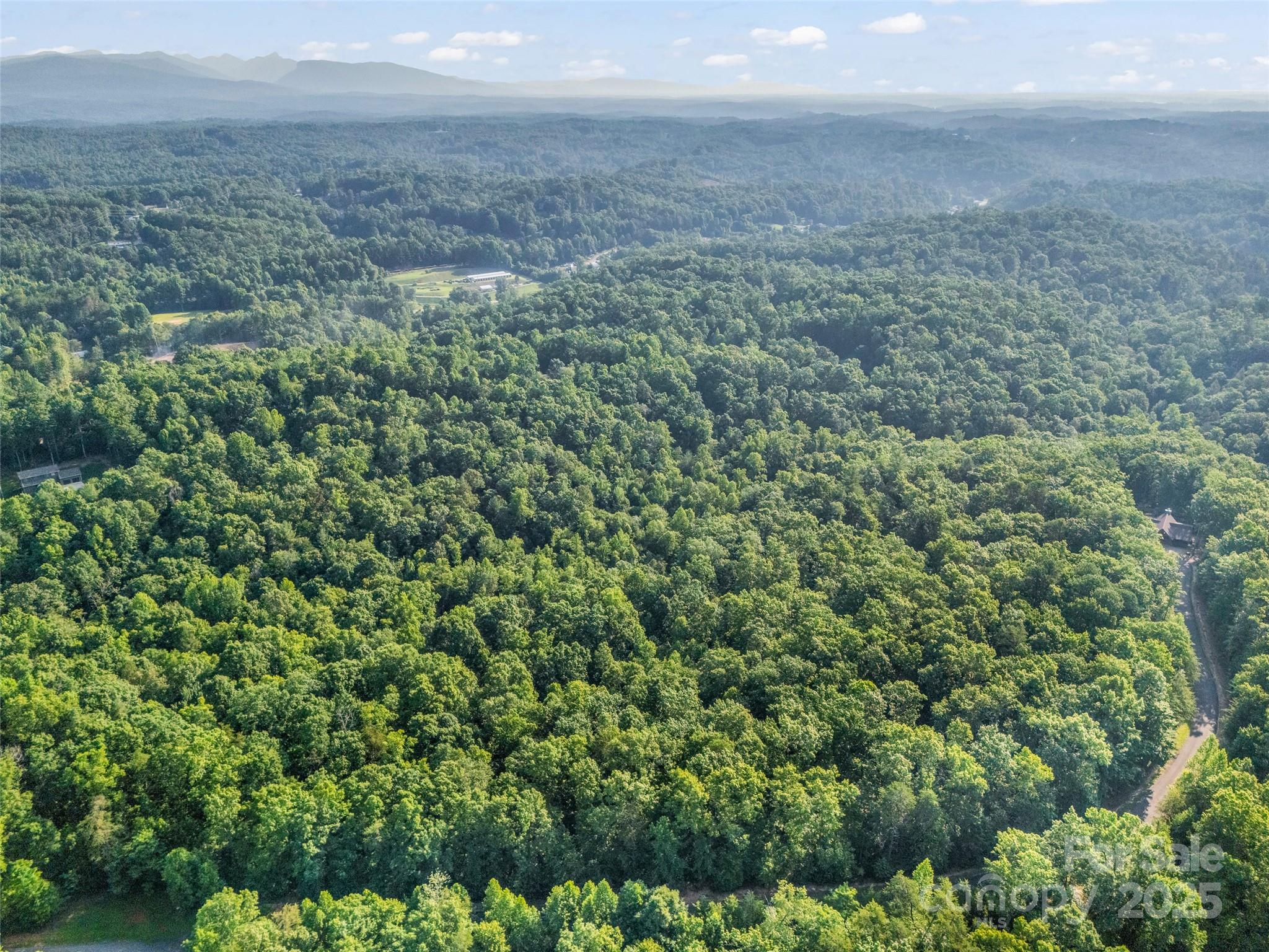 0 Forest Country Drive Lot 49 Property Photo 11