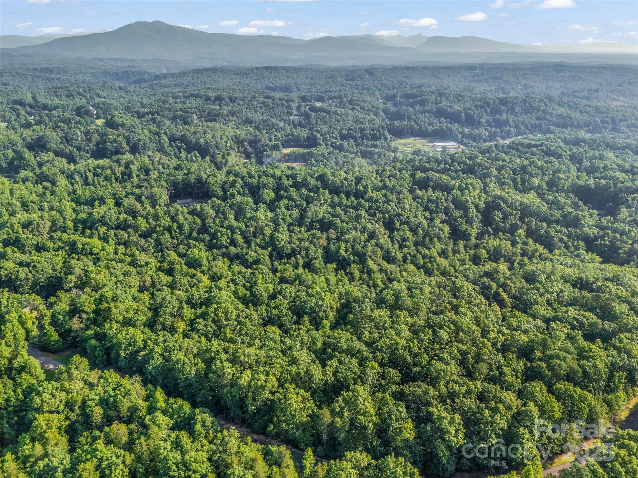 0 Forest Country Drive Lot 49 Property Photo 12