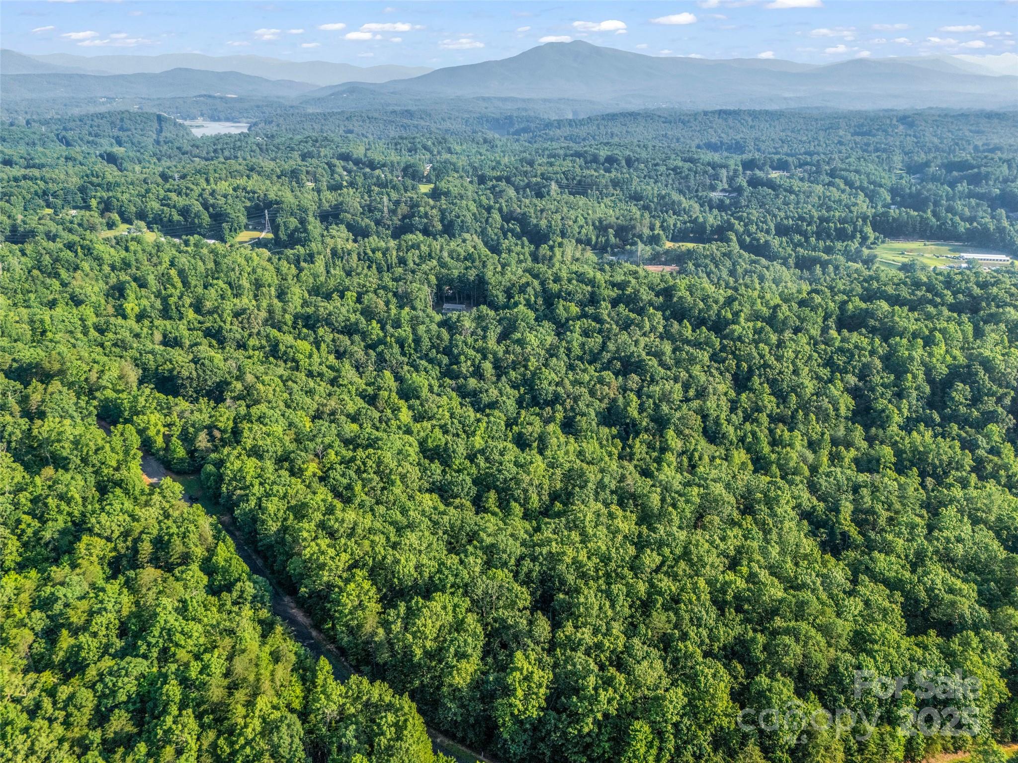 0 Forest Country Drive Lot 49 Property Photo 13