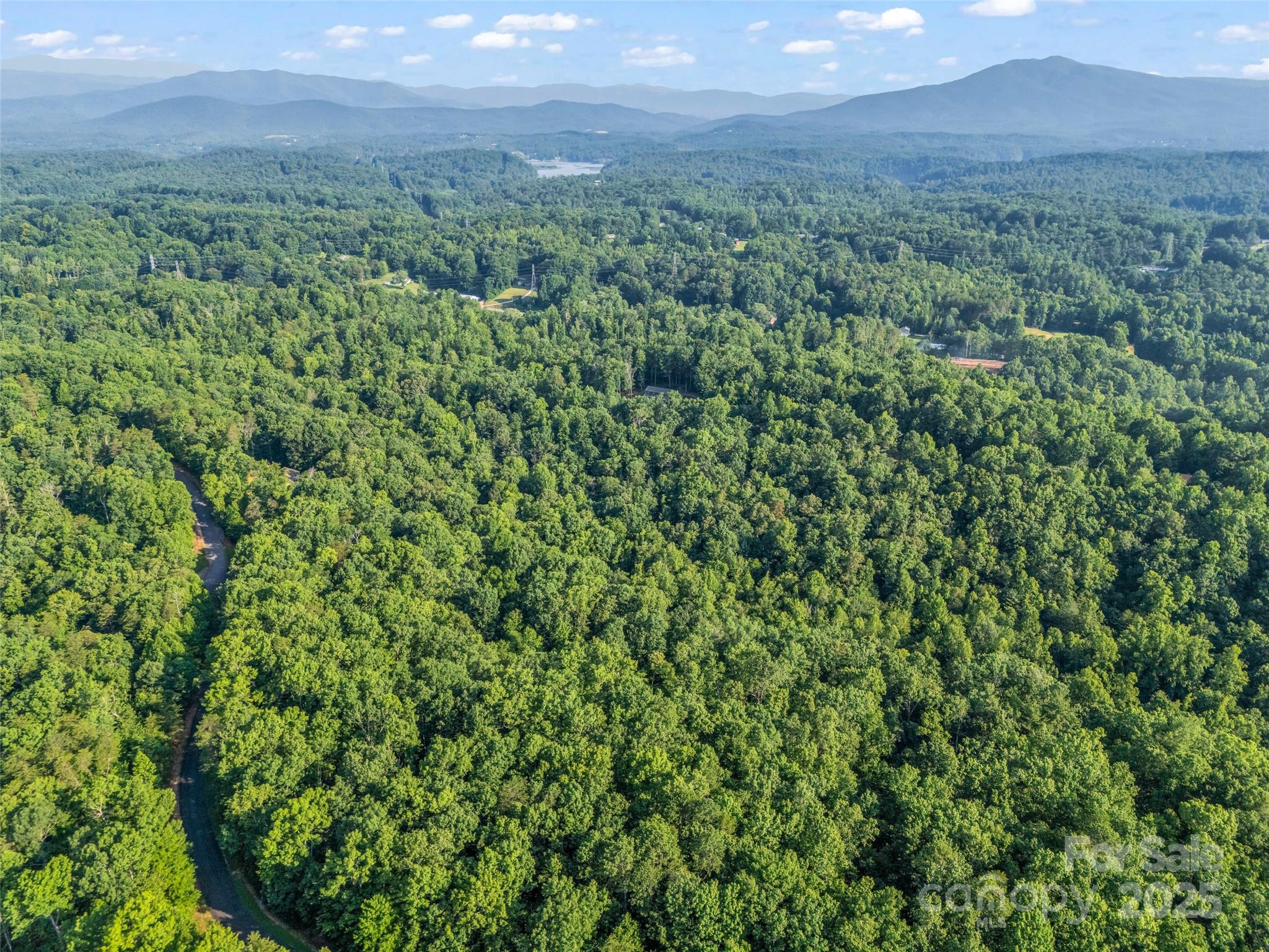 0 Forest Country Drive Lot 49 Property Photo 14