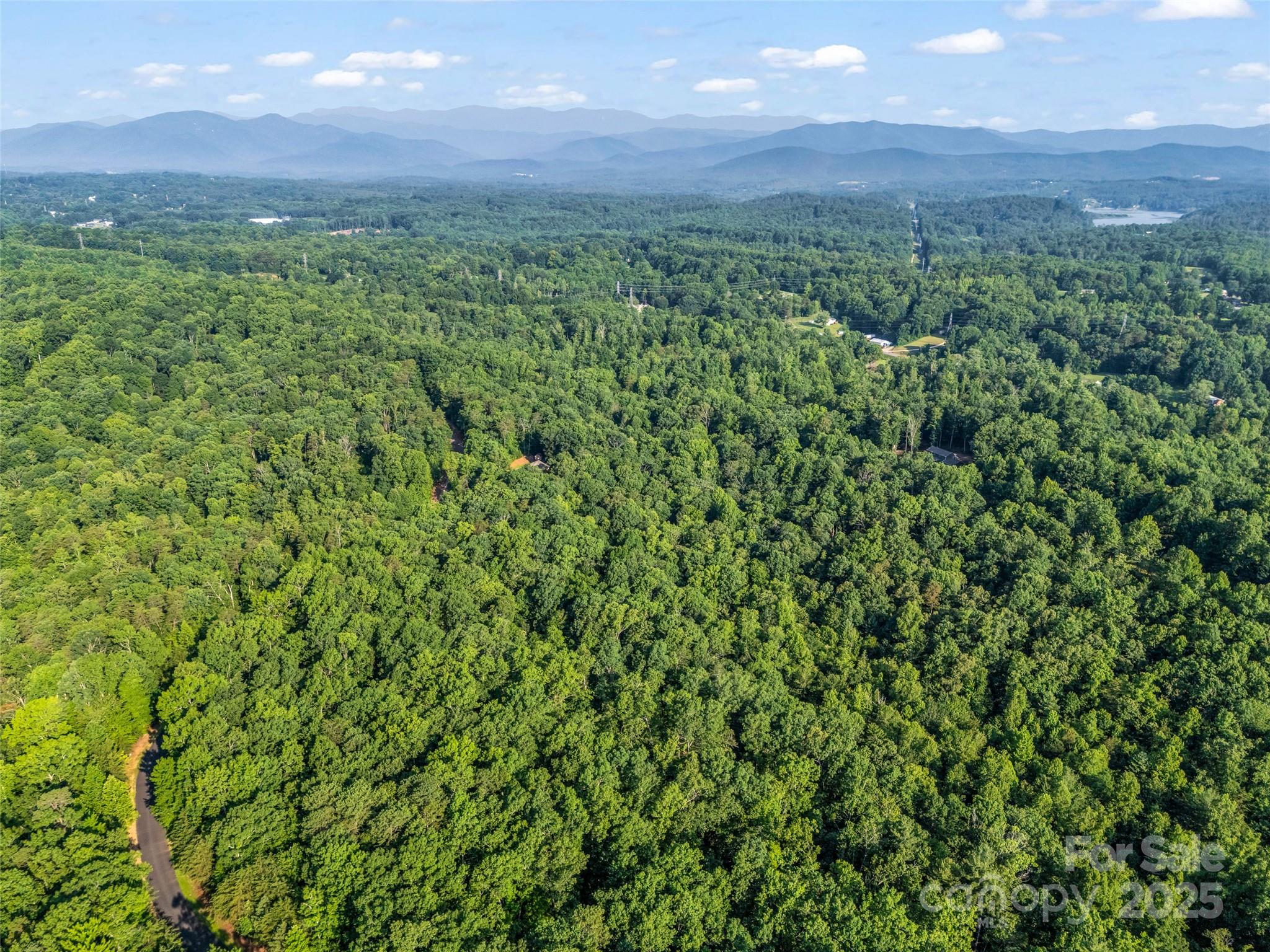 0 Forest Country Drive Lot 49 Property Photo 15