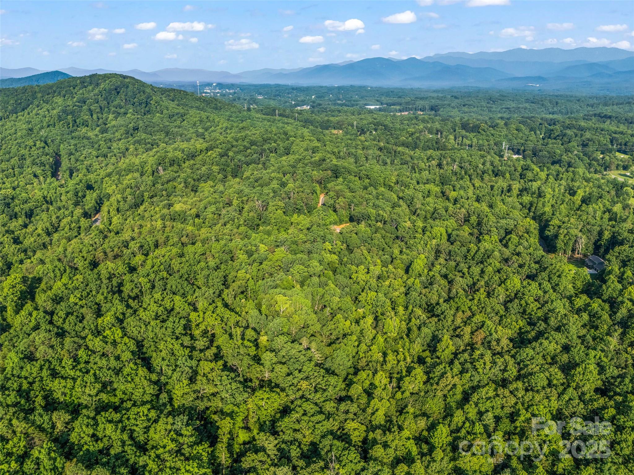 0 Forest Country Drive Lot 49 Property Photo 16