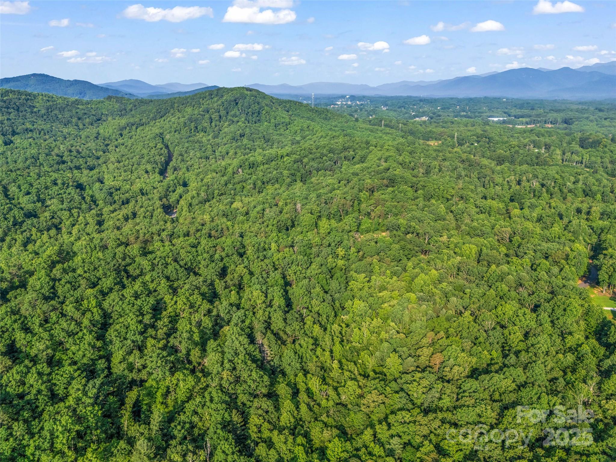 0 Forest Country Drive Lot 49 Property Photo 17