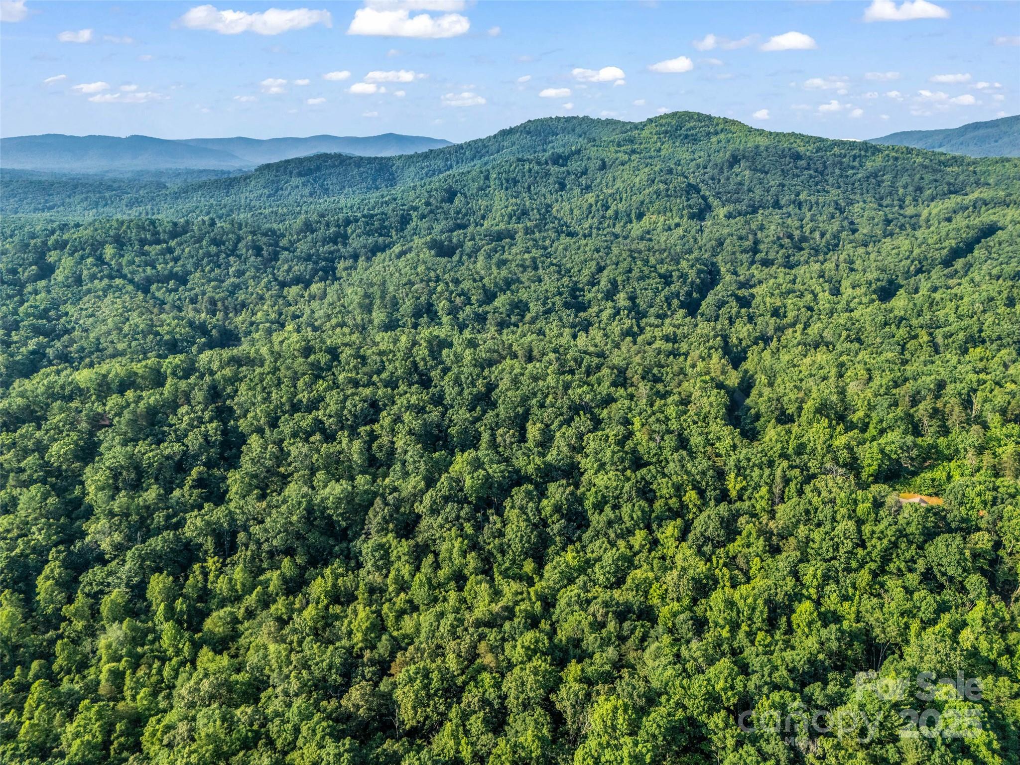 0 Forest Country Drive Lot 49 Property Photo 18