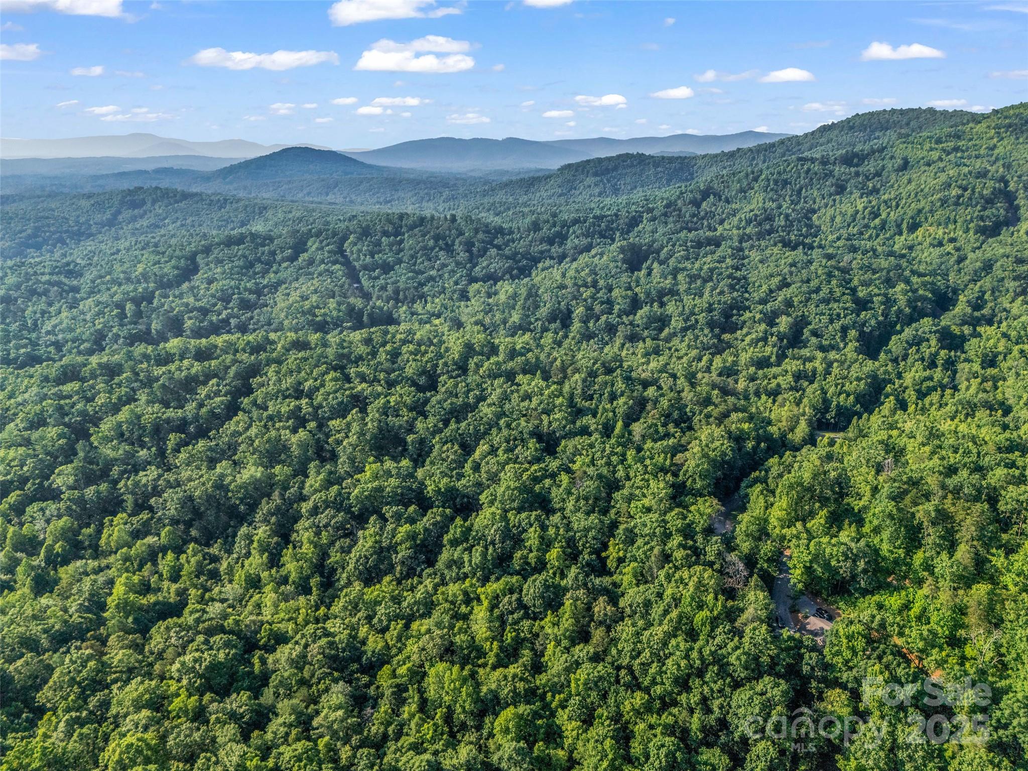 0 Forest Country Drive Lot 49 Property Photo 19