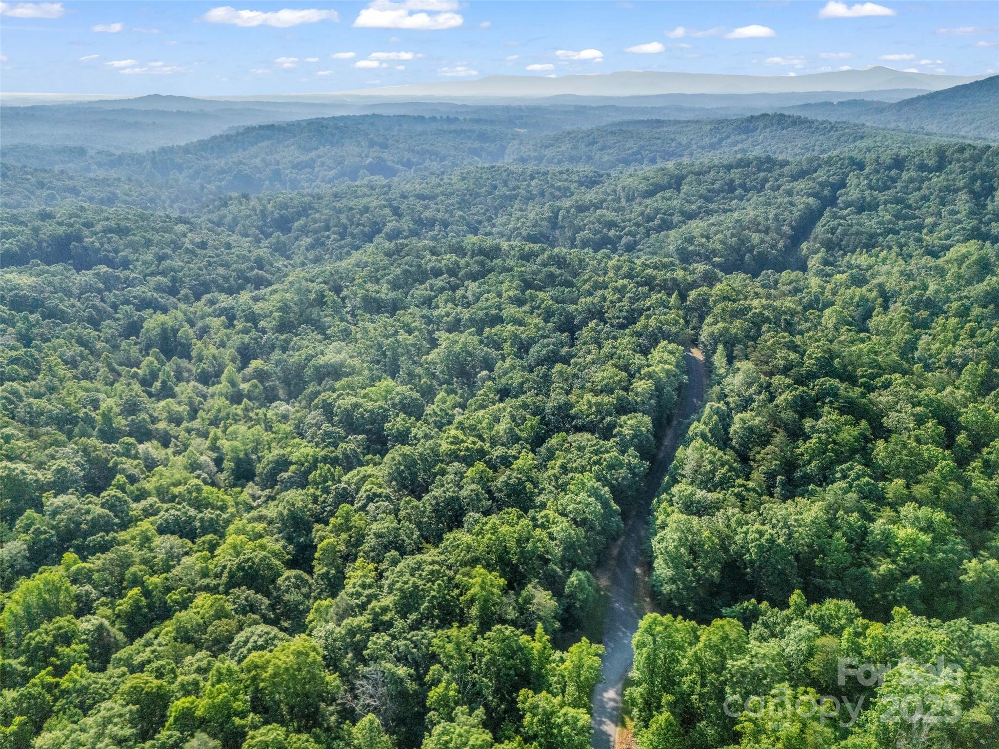 0 Forest Country Drive Lot 49 Property Photo 20