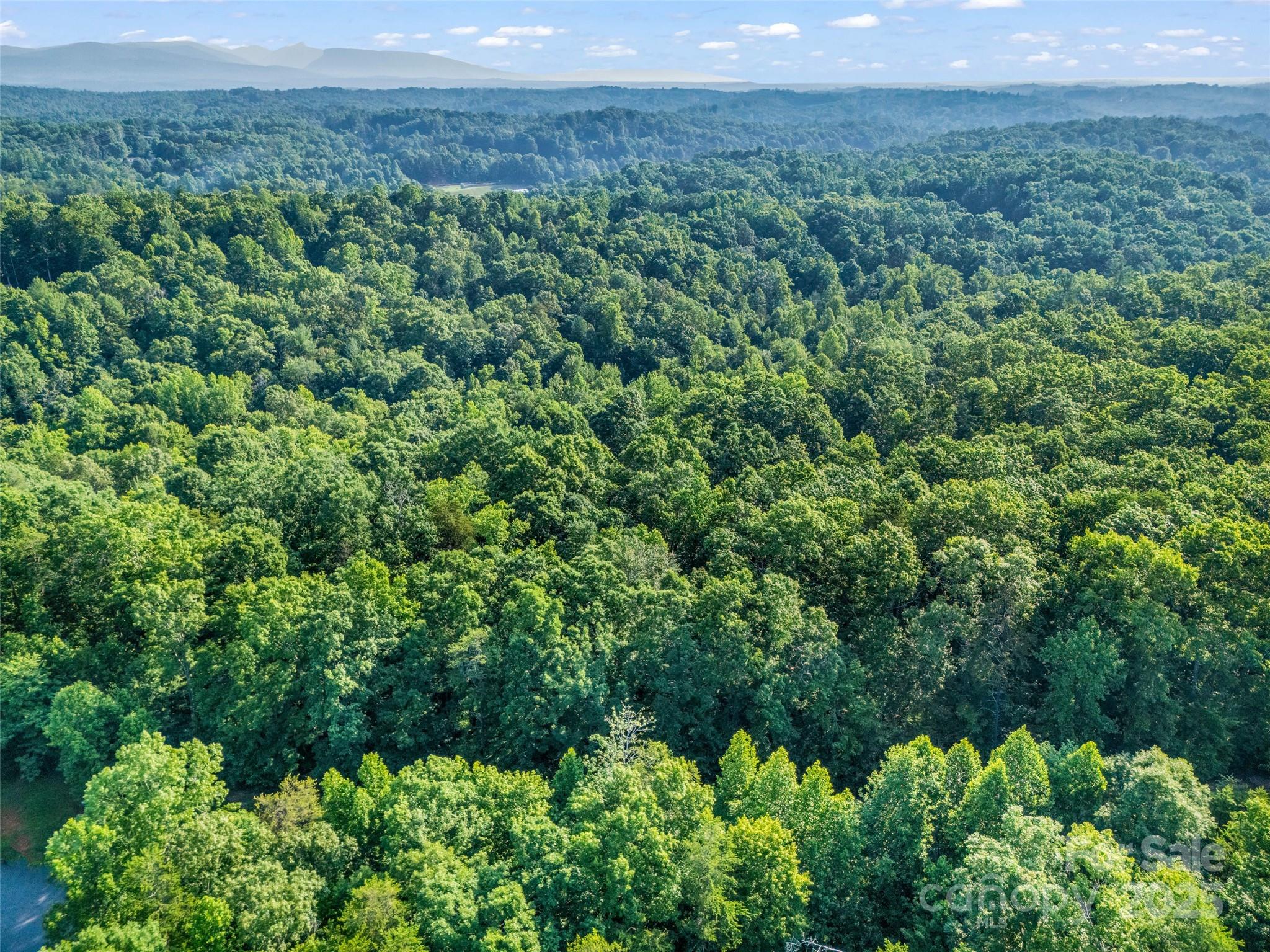 0 Forest Country Drive Lot 49 Property Photo 22