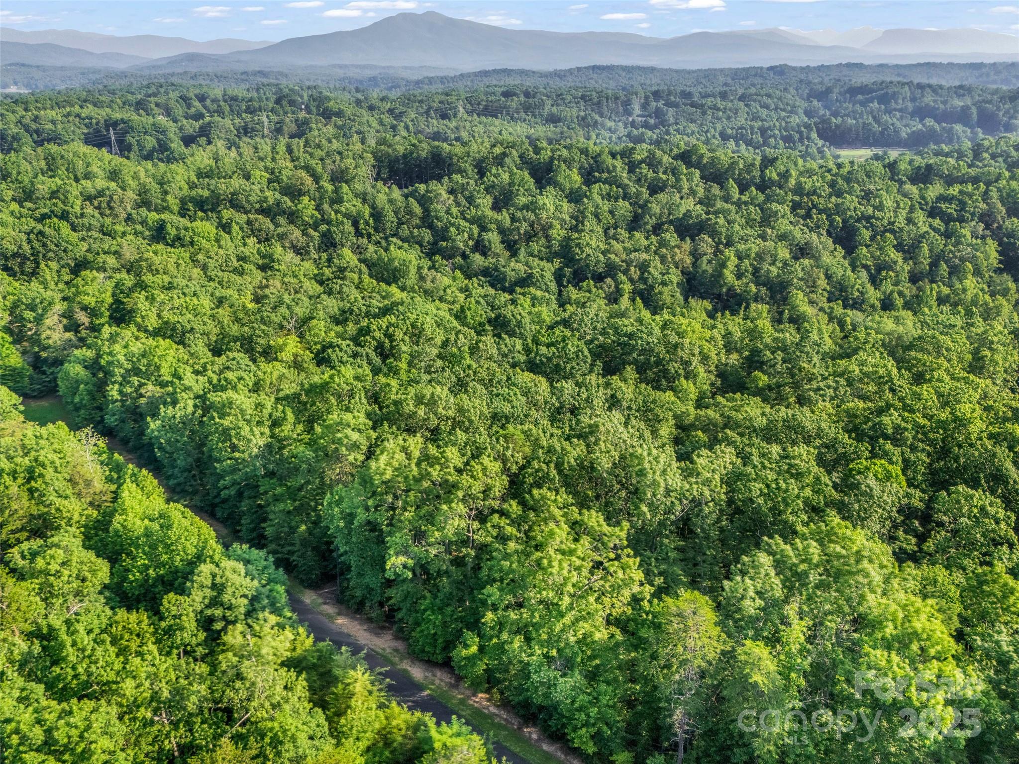 0 Forest Country Drive Lot 49 Property Photo 23