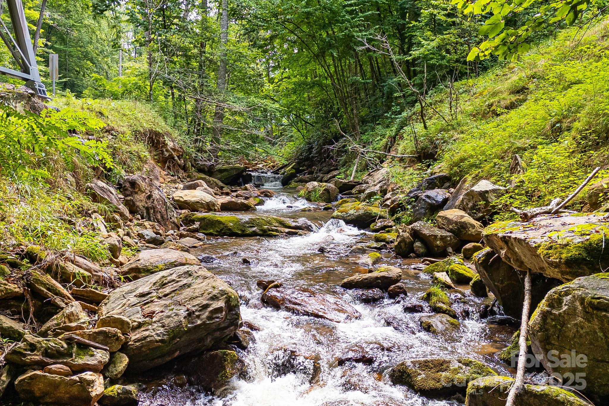 00 Pilot Mountain None Property Photo 2