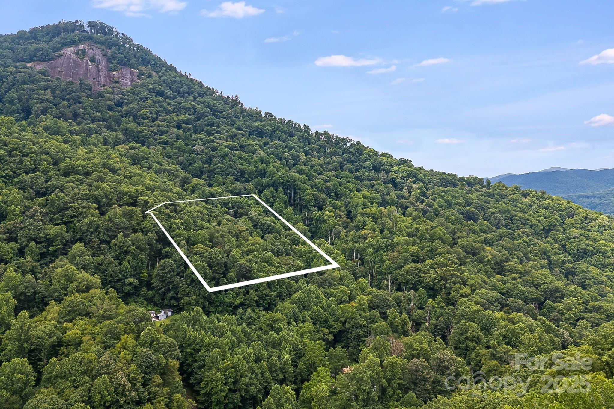 00 Pilot Mountain None Property Photo 3