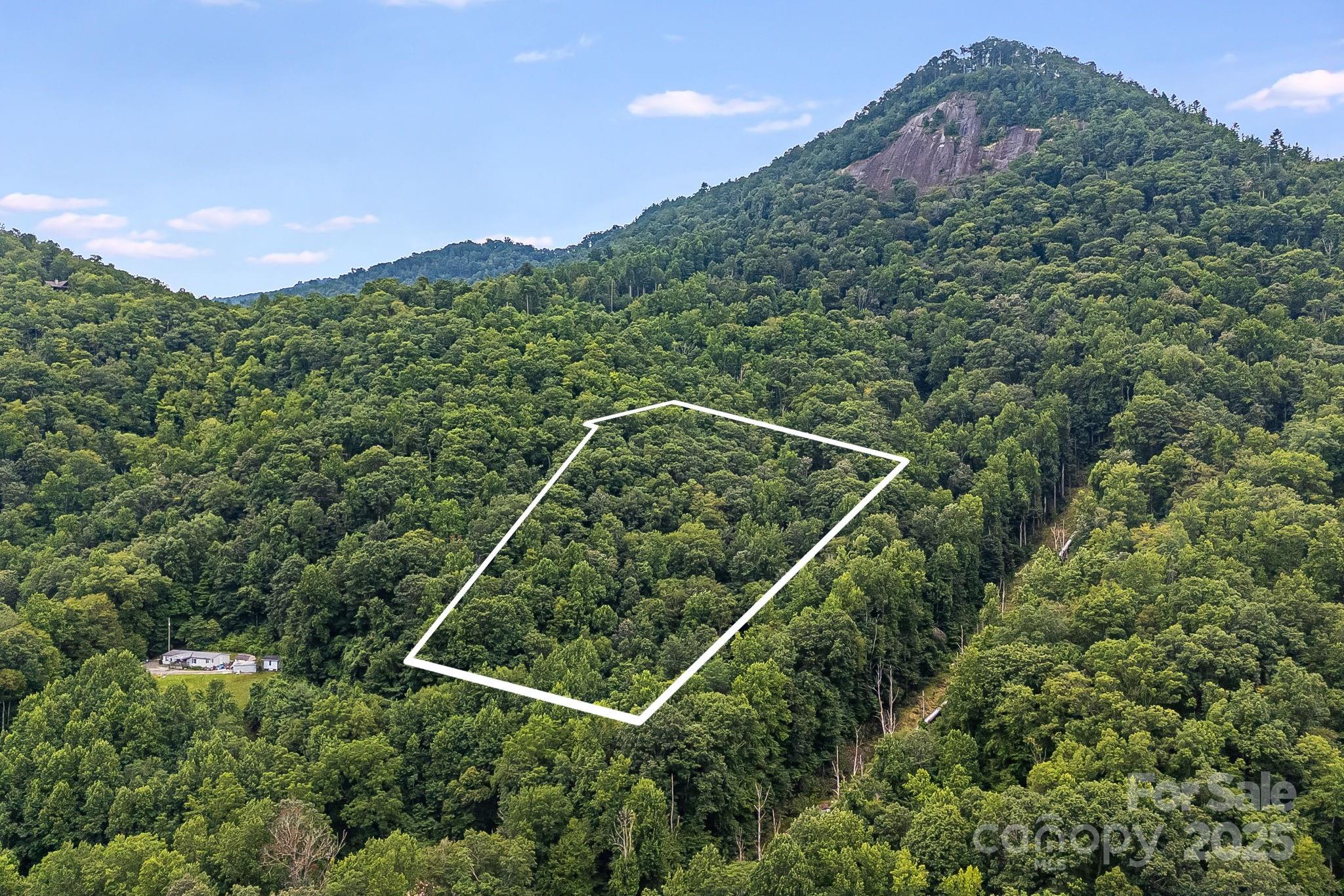 00 Pilot Mountain None Property Photo 5