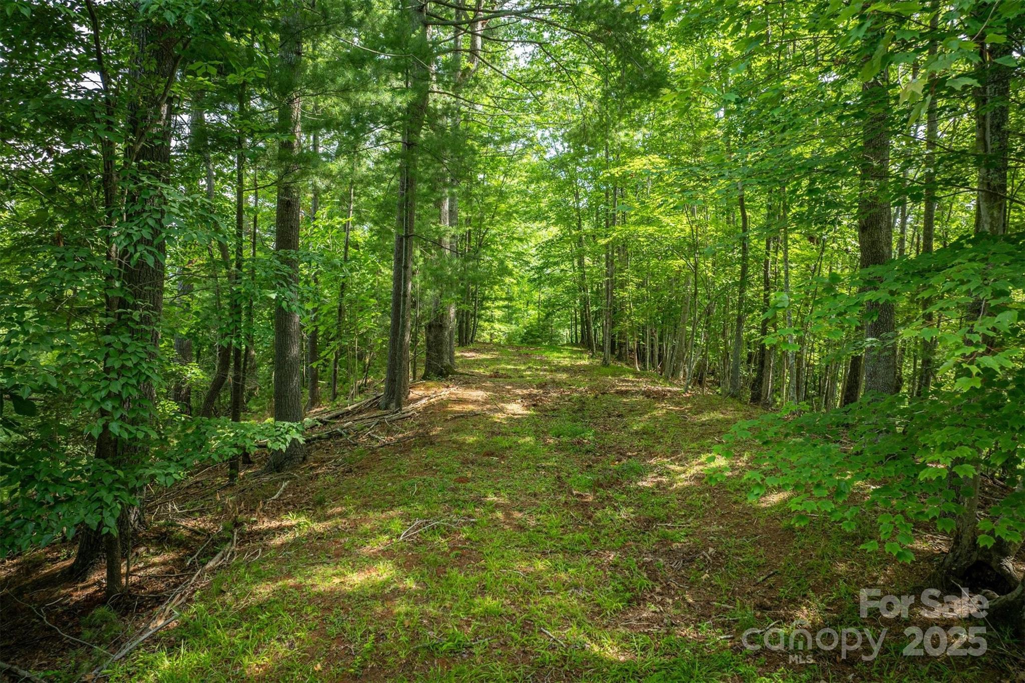 810 & Tbd Marina Drive 1, 2 & 3 Property Photo 13