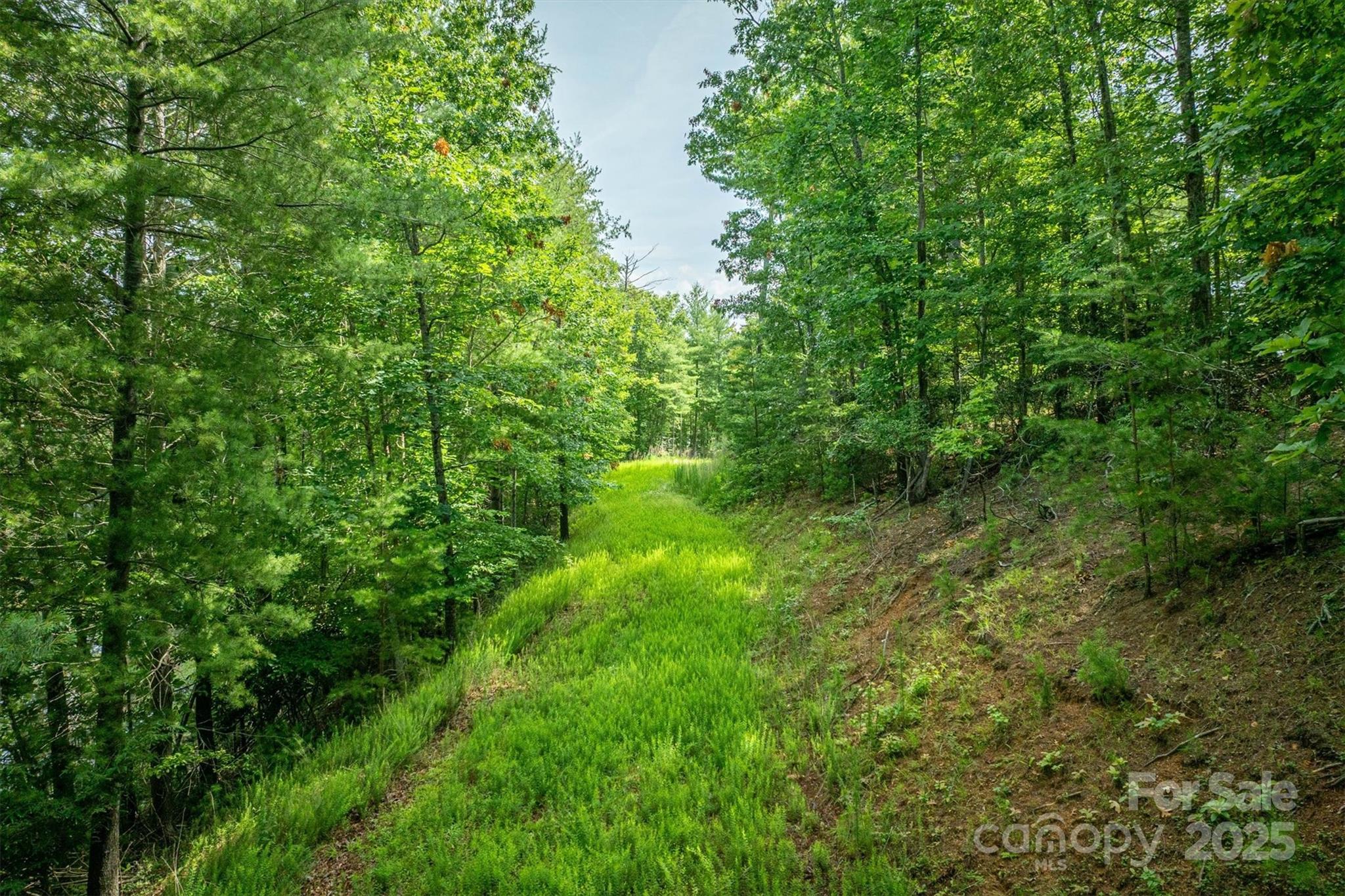 810 & Tbd Marina Drive 1, 2 & 3 Property Photo 16