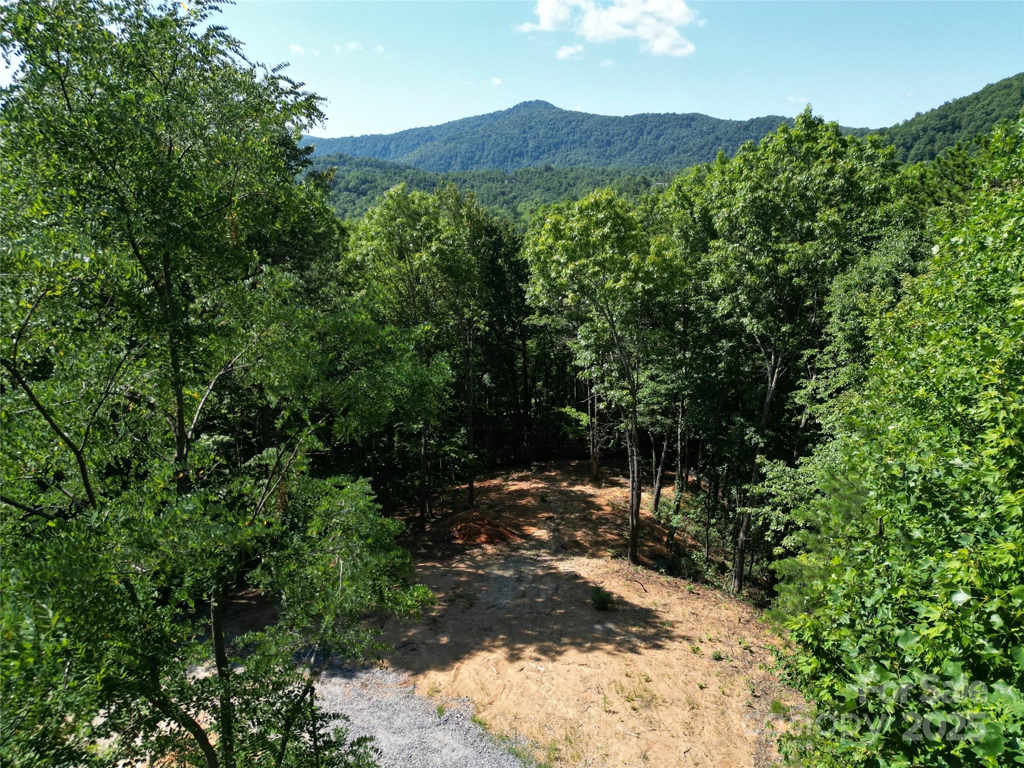 1915 Catawba Falls Parkway 232 Property Photo 1