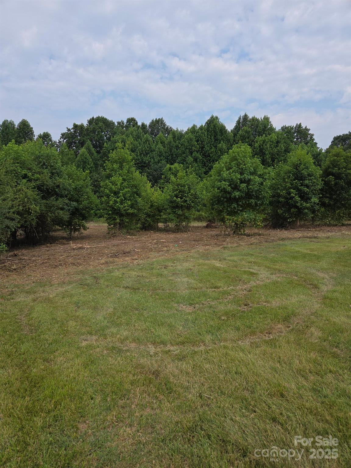 000 Mariposa Road Property Photo 1