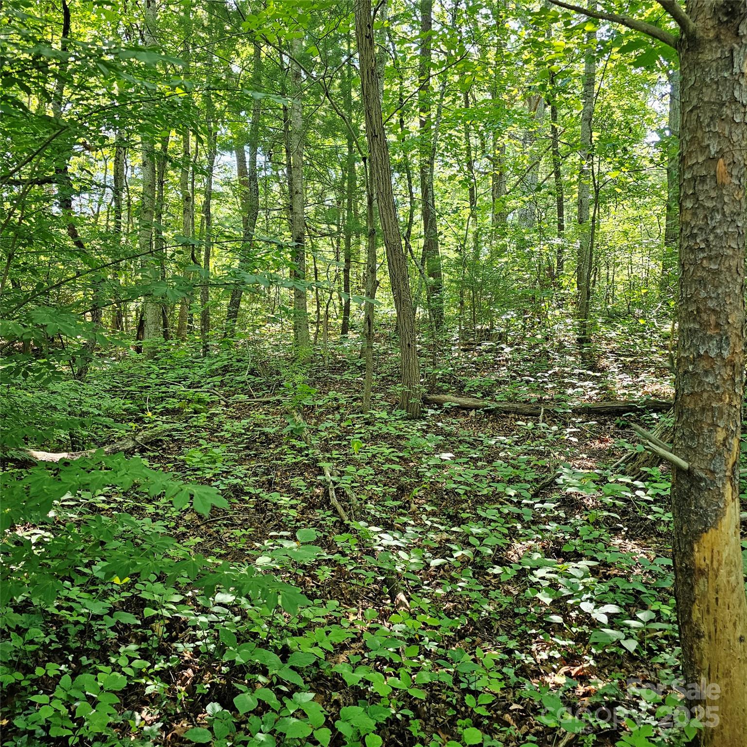 99999 Campground Road Property Photo 1