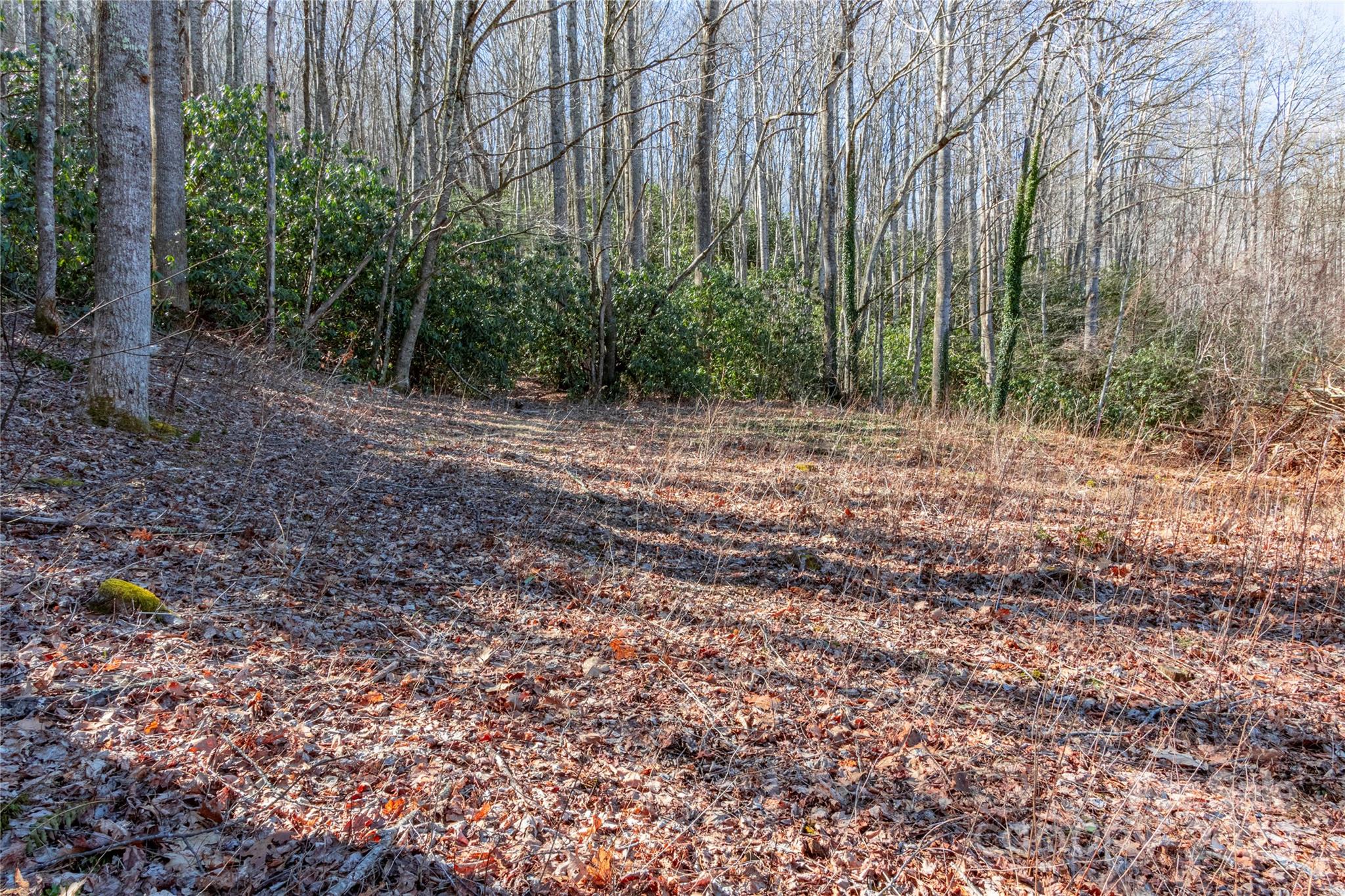 0 Landis Lane Property Photo 4