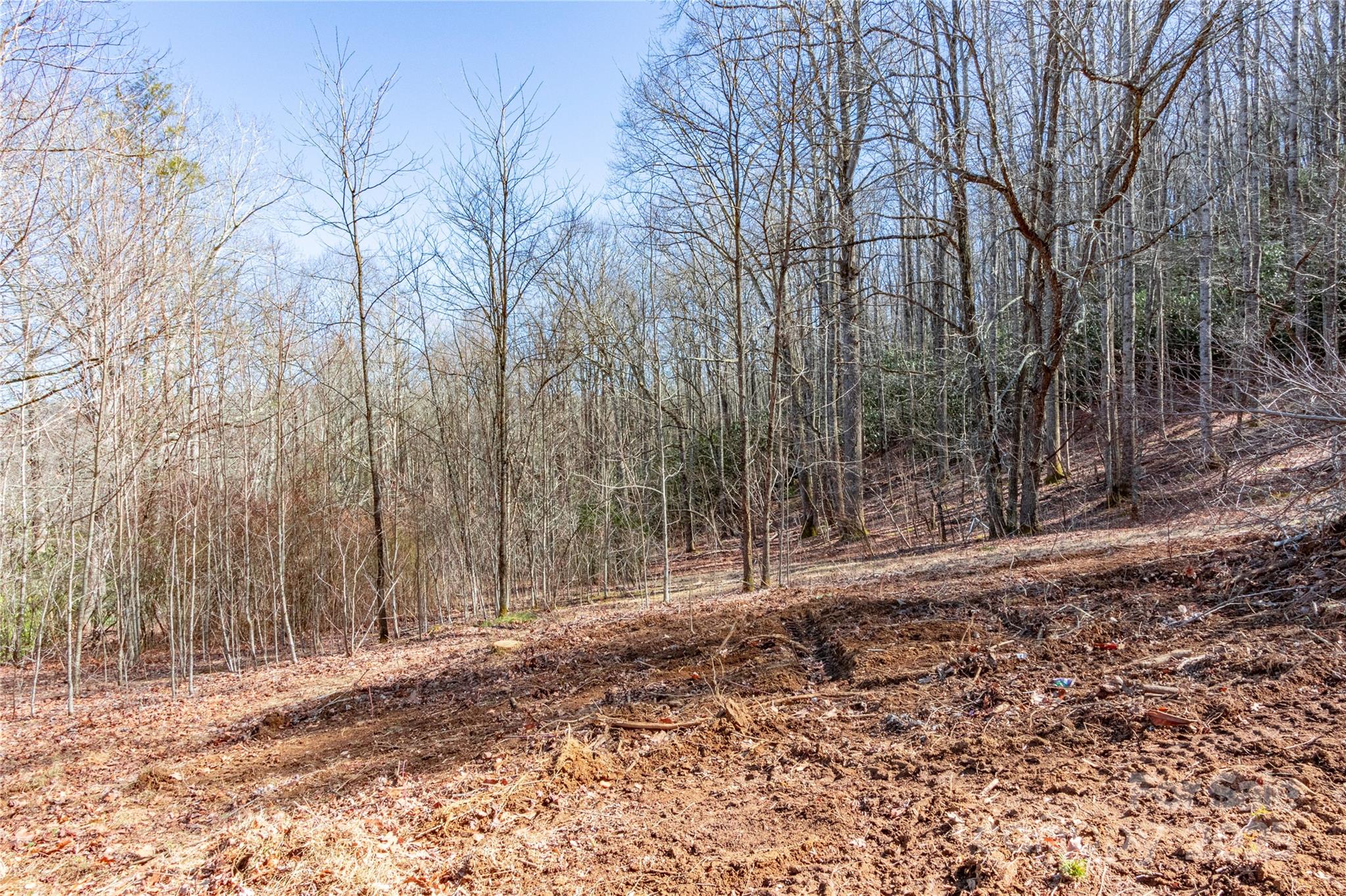 0 Landis Lane Property Photo 5