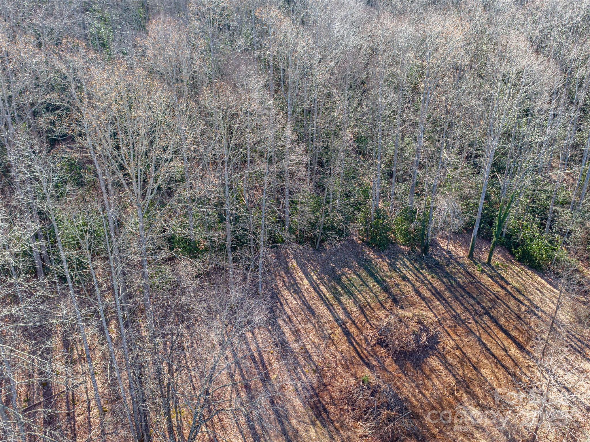 0 Landis Lane Property Photo 7