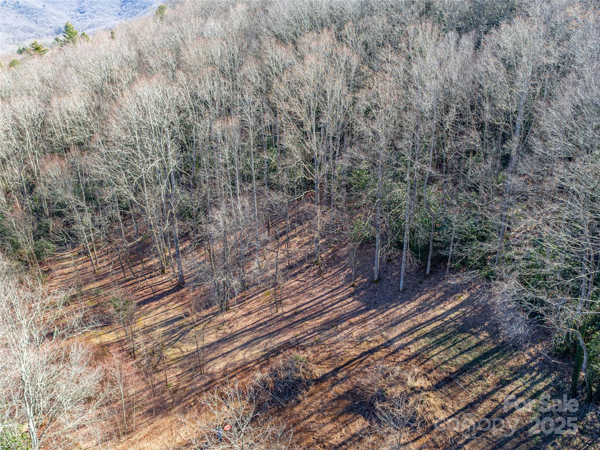 0 Landis Lane Property Photo 8