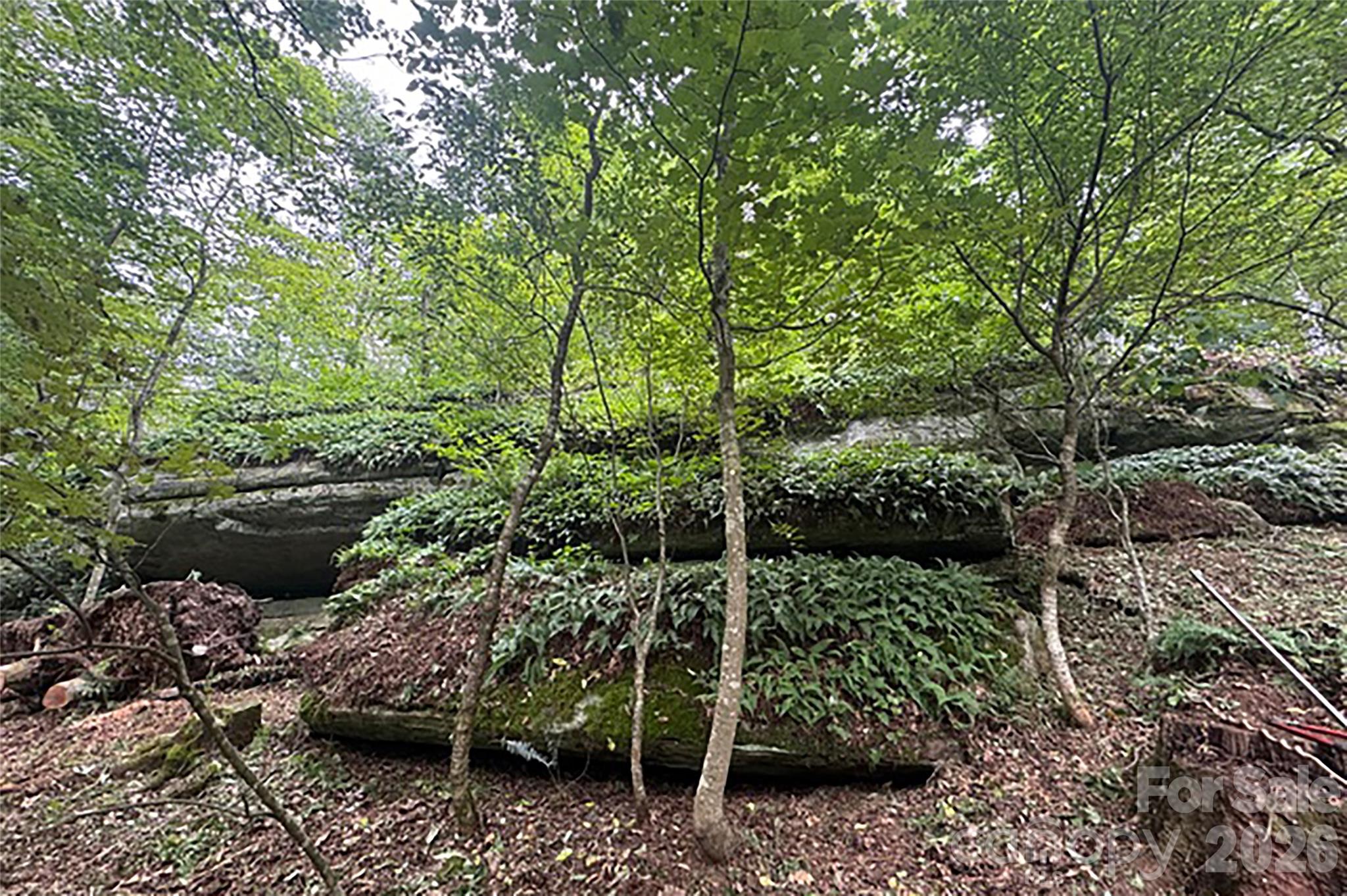 000 Laurel Ledge Way 23 Property Photo 11