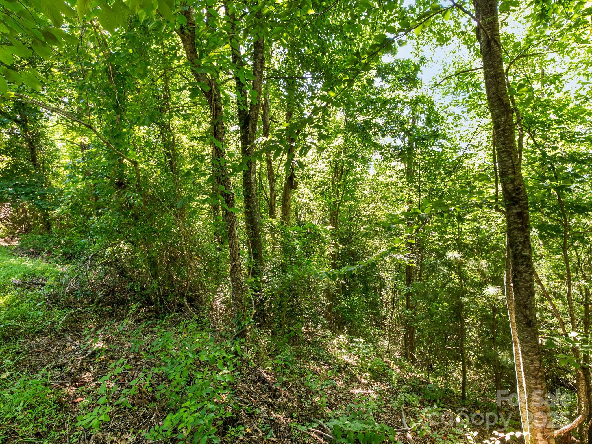 9999 Stone Valley Way 21 Ph 1 Property Photo 5