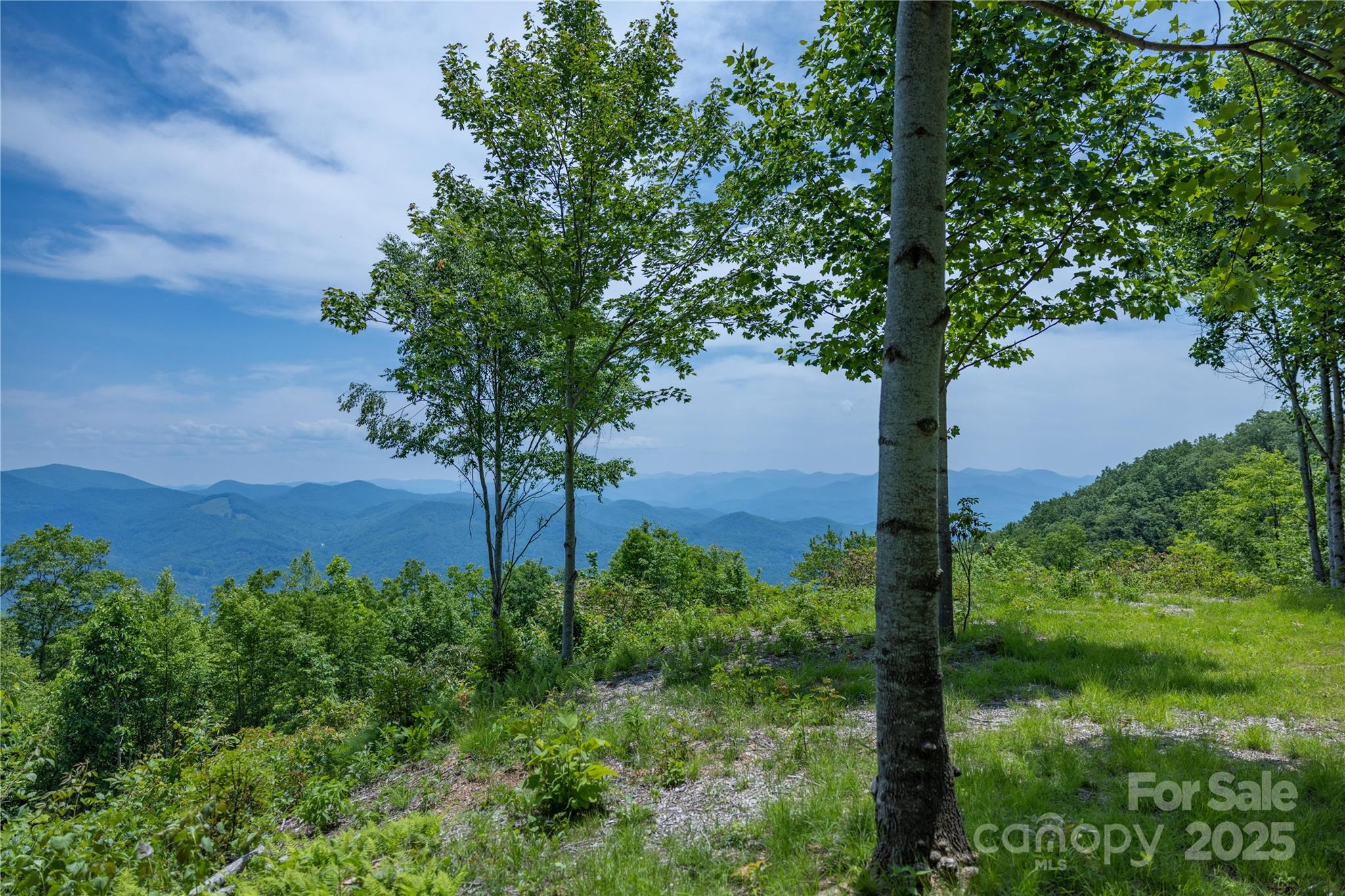 3409 Parris Branch Road Property Photo 1