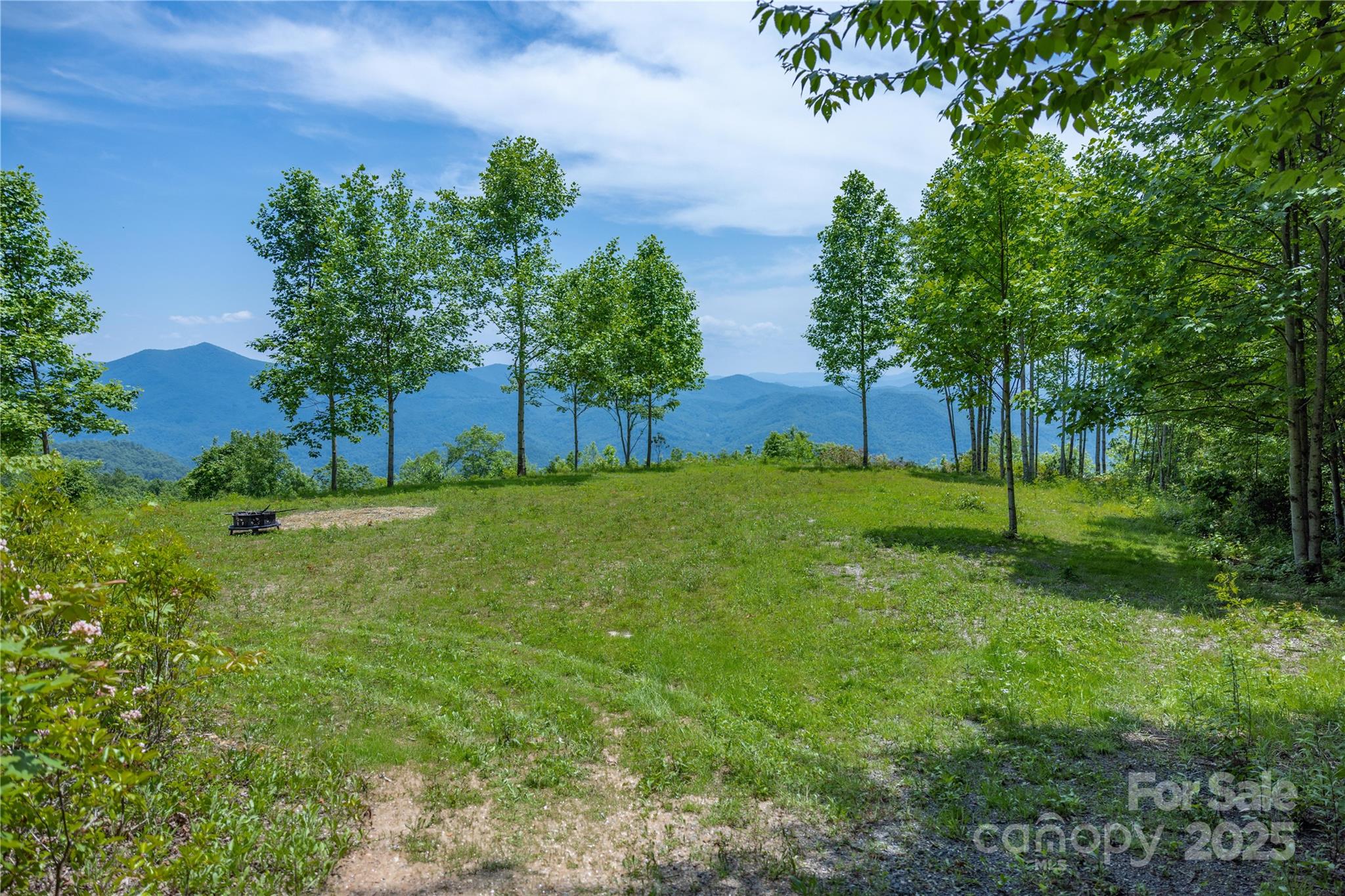 3409 Parris Branch Road Property Photo 3