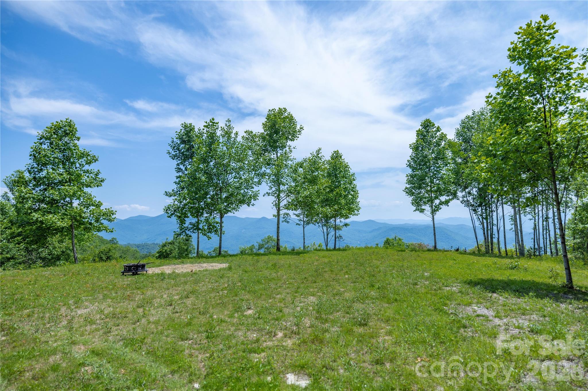 3409 Parris Branch Road Property Photo 4