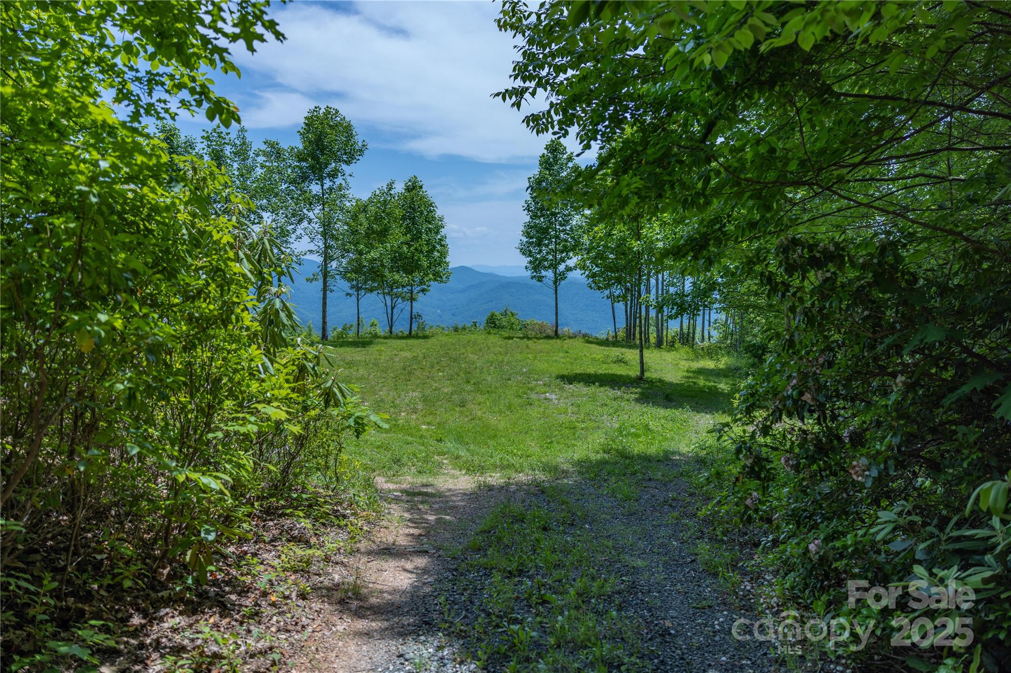 3409 Parris Branch Road Property Photo 5