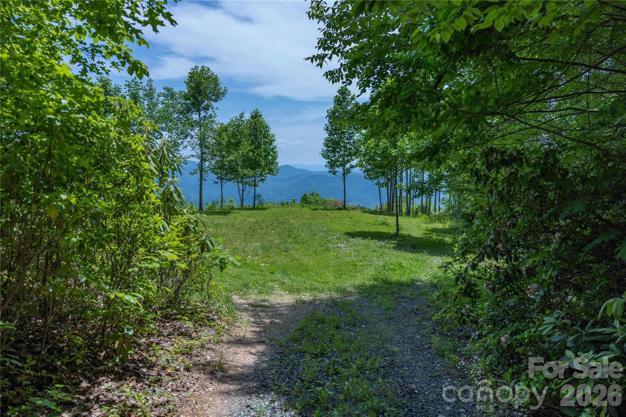 3409 Parris Branch Road Property Photo 5