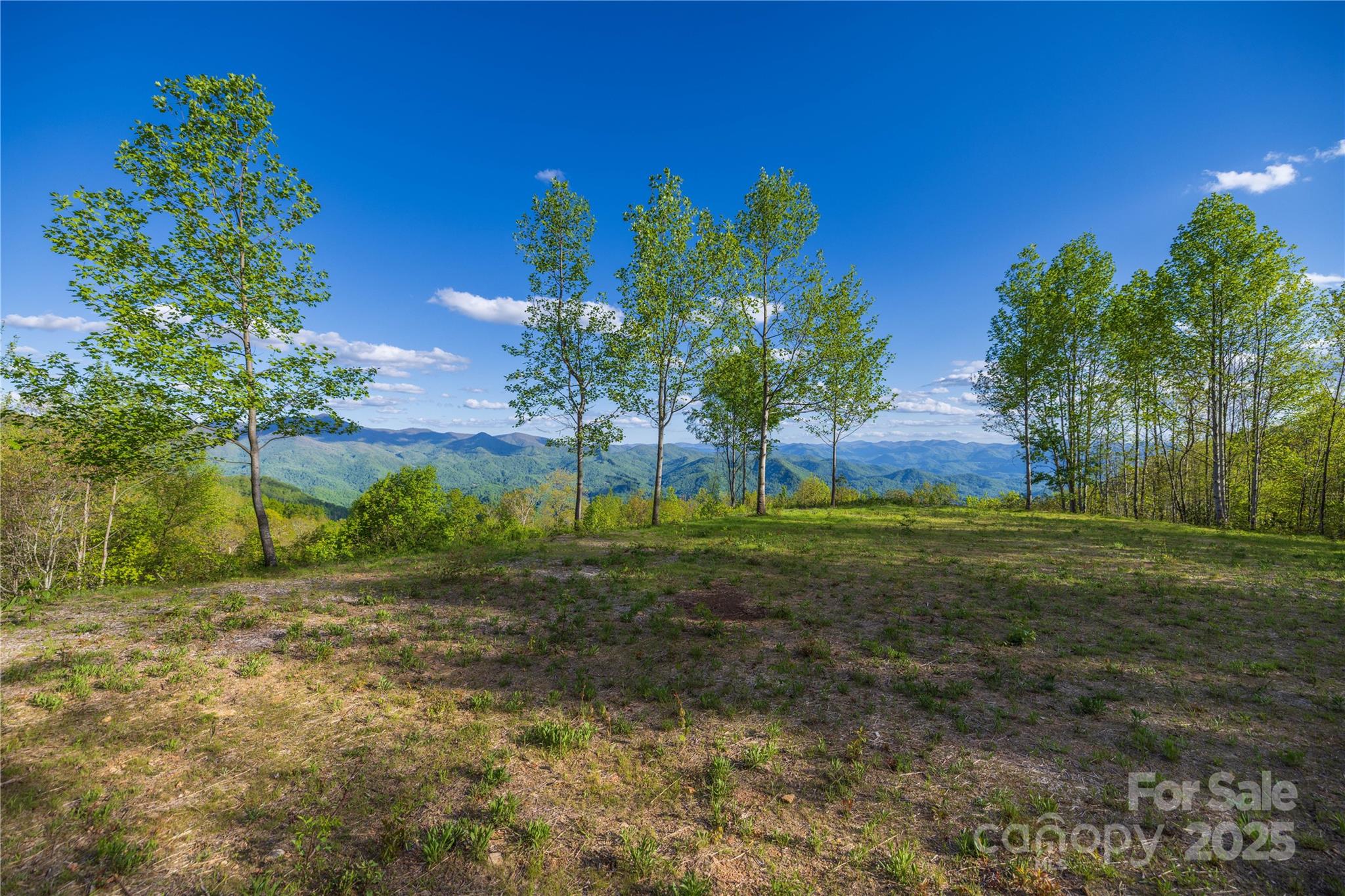 3409 Parris Branch Road Property Photo 7