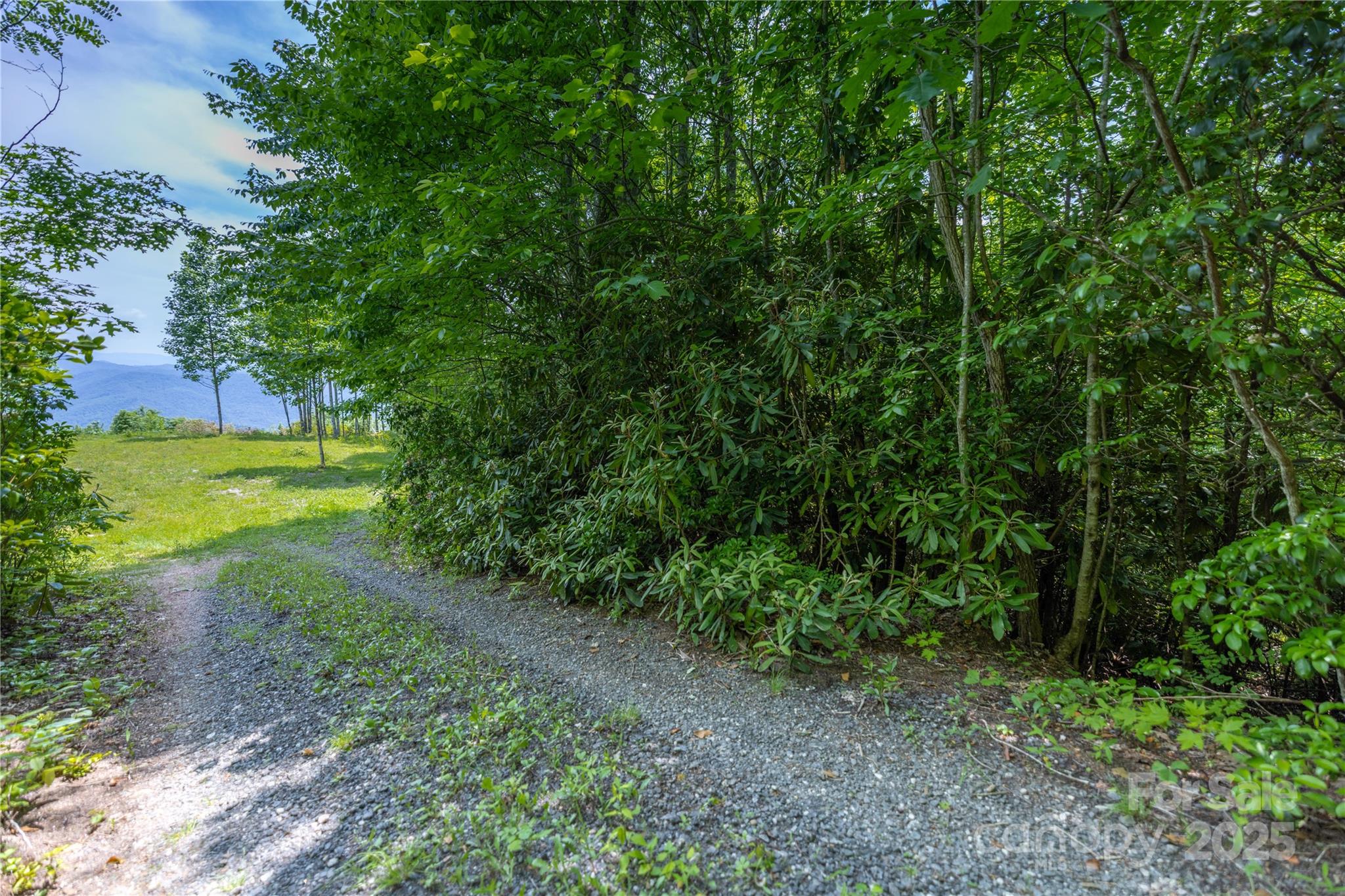 3409 Parris Branch Road Property Photo 8