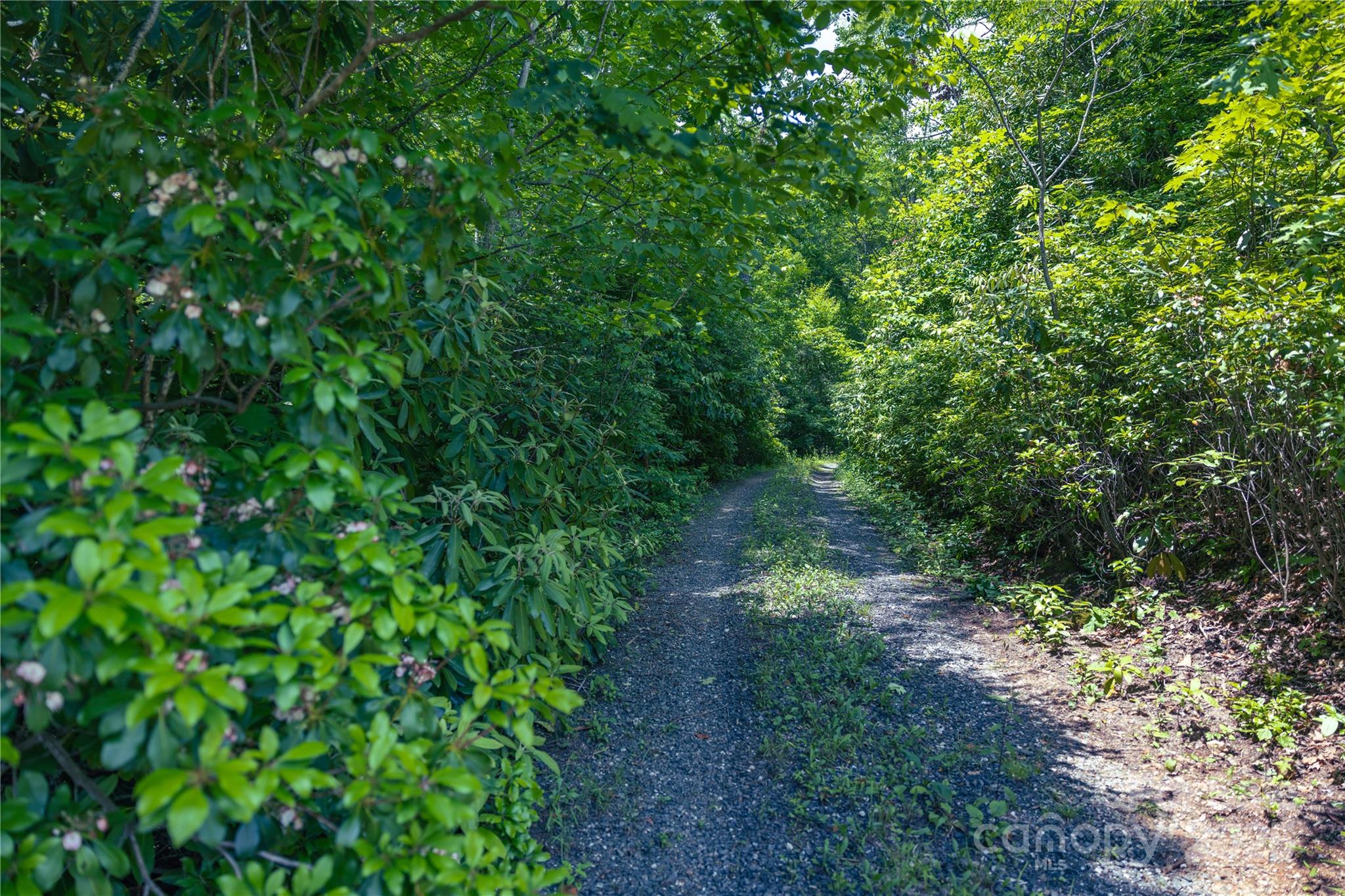 3409 Parris Branch Road Property Photo 9