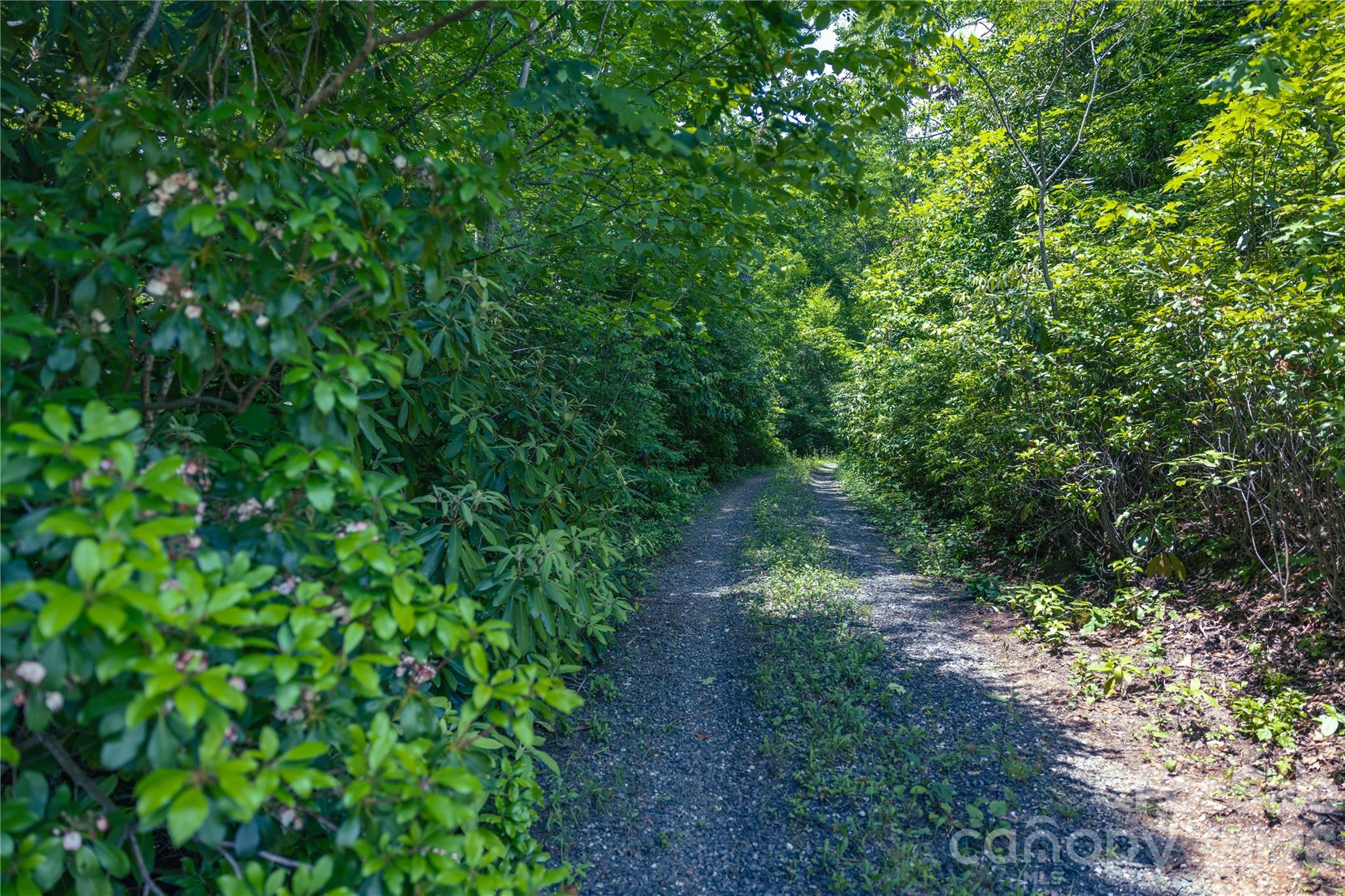 3409 Parris Branch Road Property Photo 9