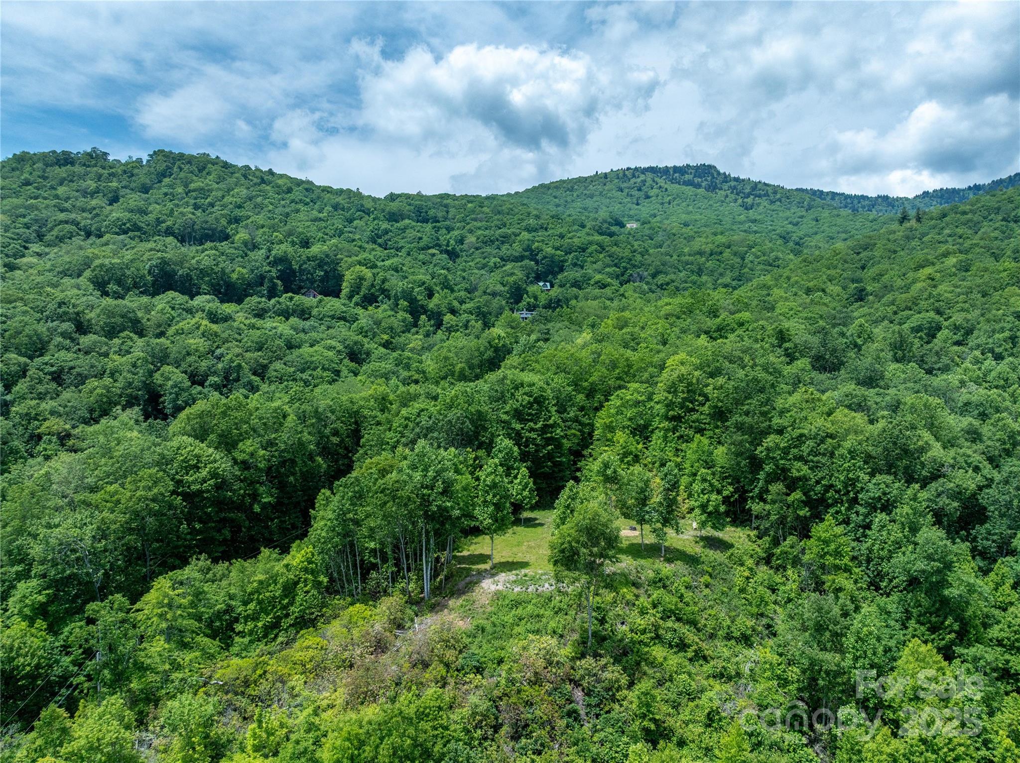 3409 Parris Branch Road Property Photo 11