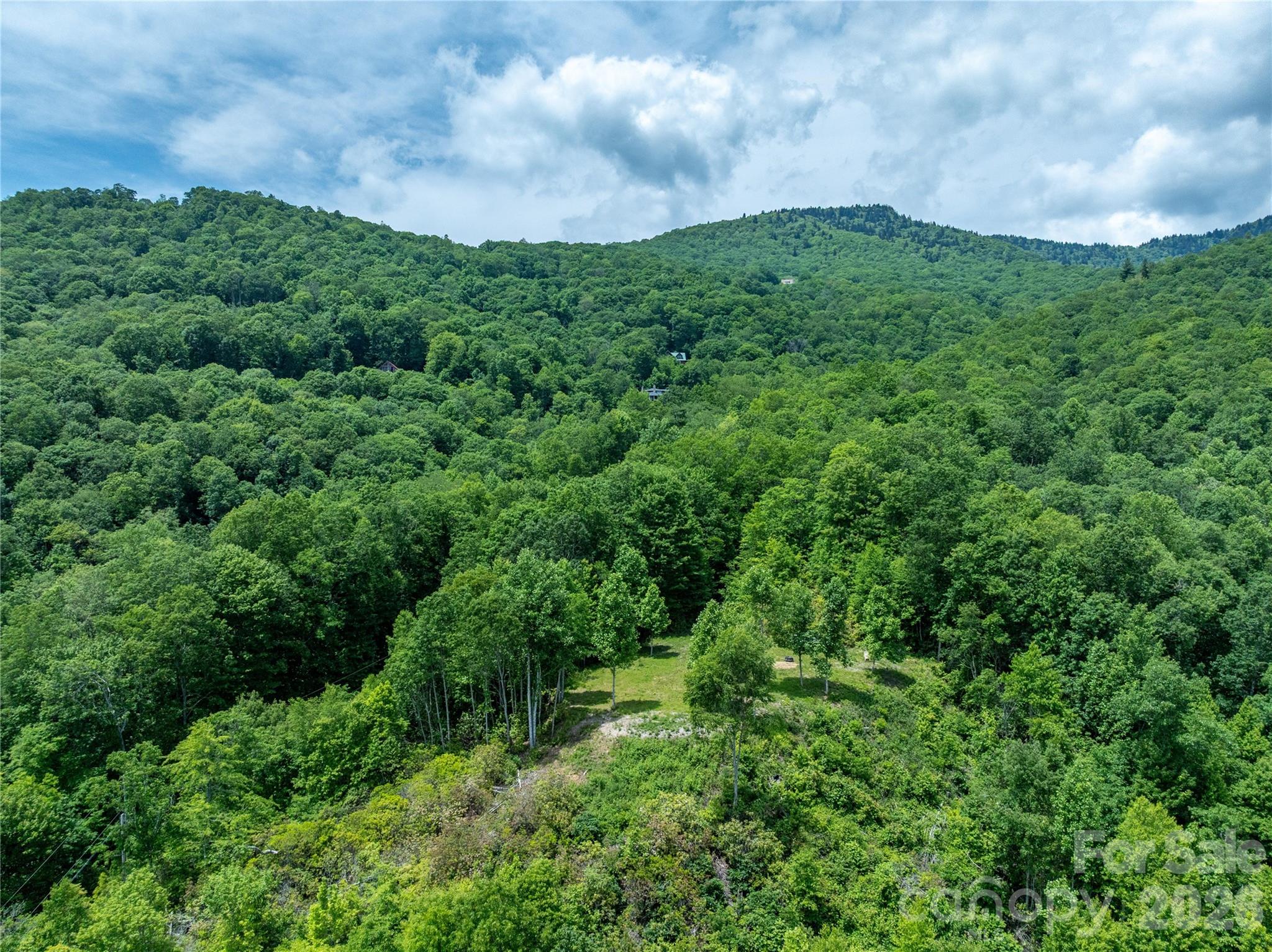 3409 Parris Branch Road Property Photo 11
