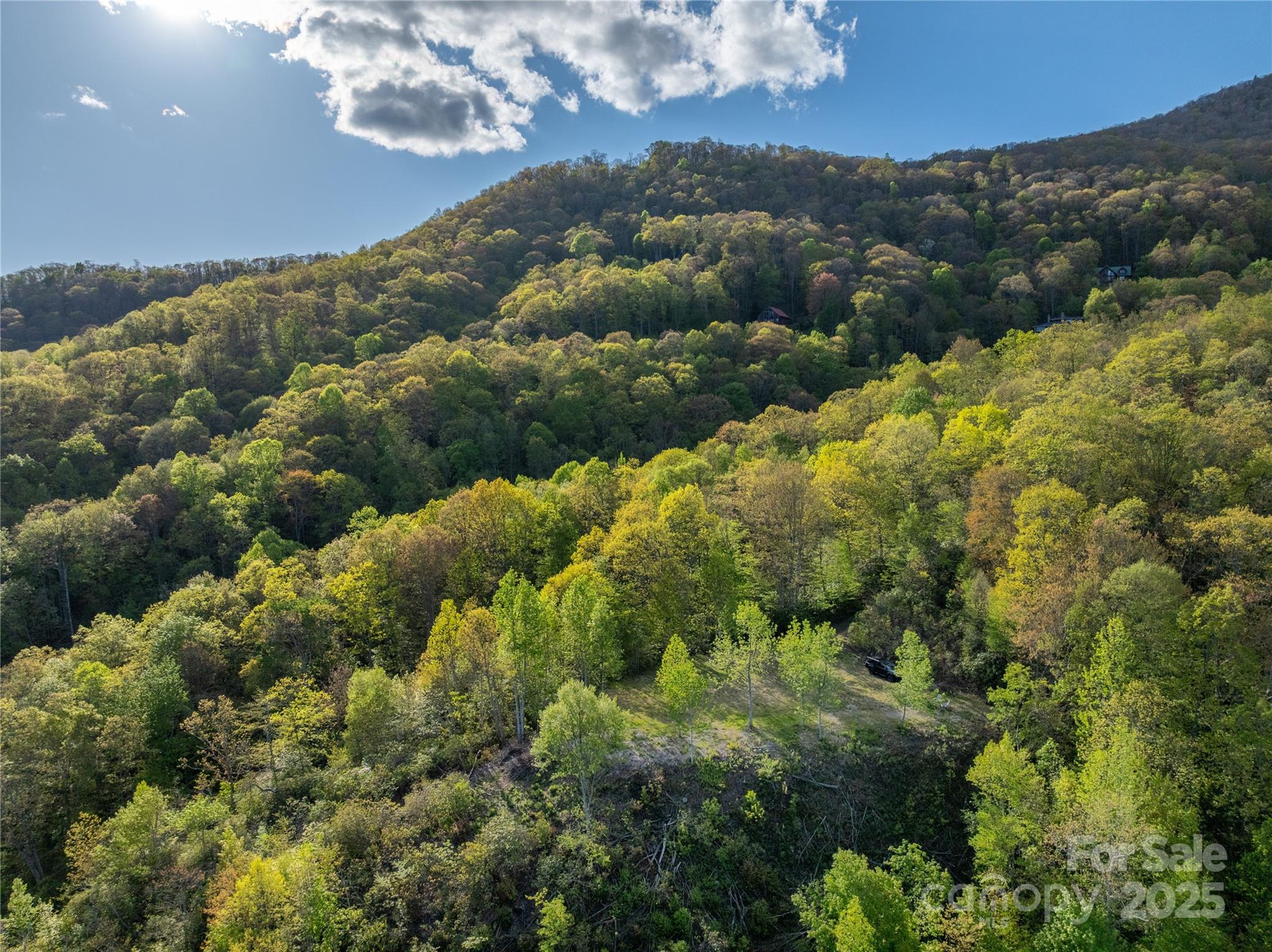 3409 Parris Branch Road Property Photo 12