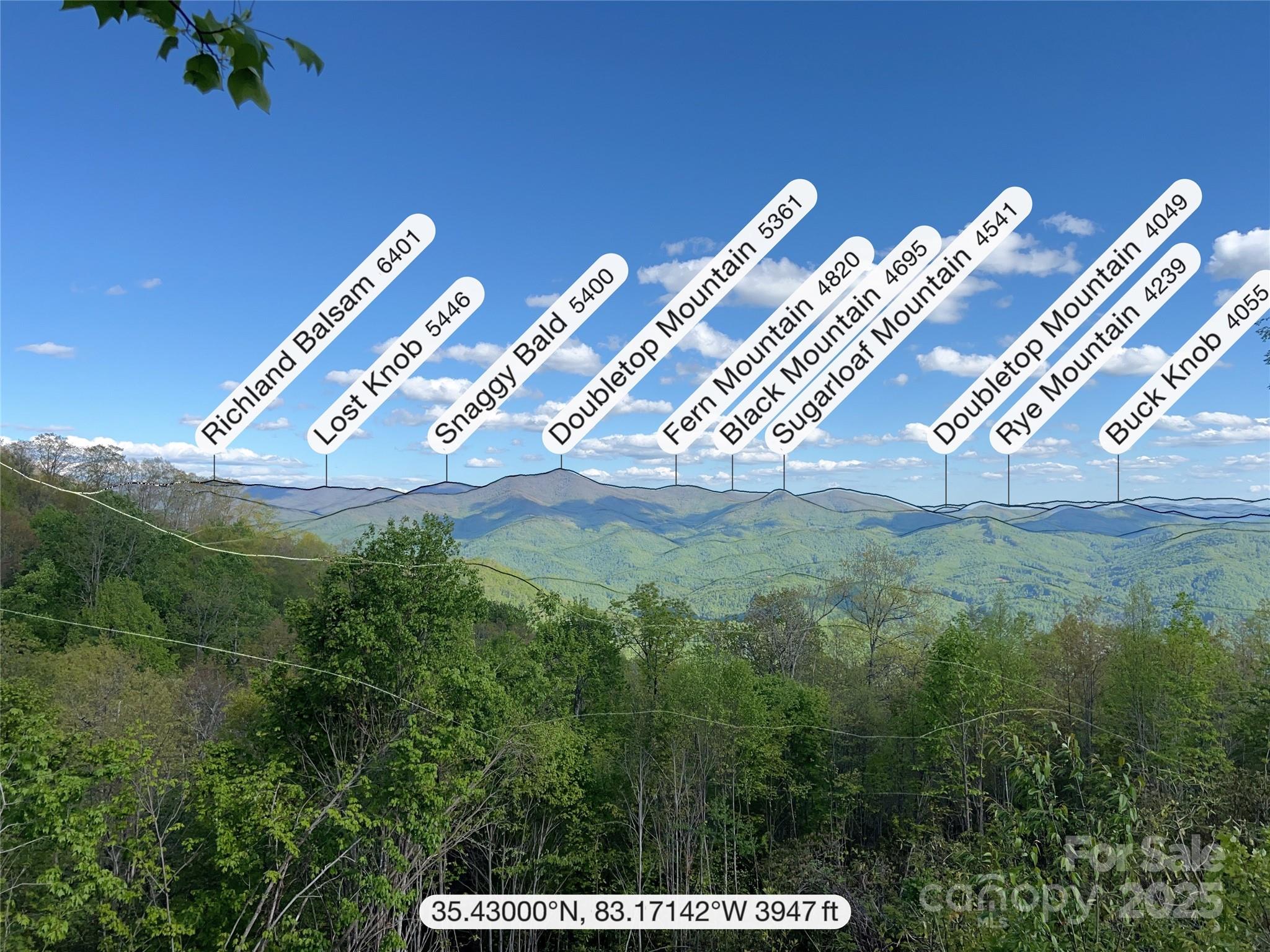 3409 Parris Branch Road Property Photo 15