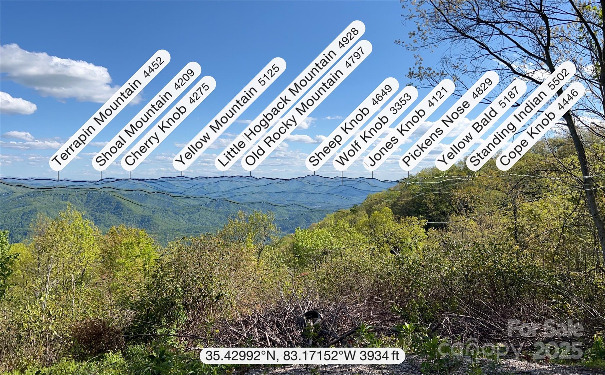 3409 Parris Branch Road Property Photo 16