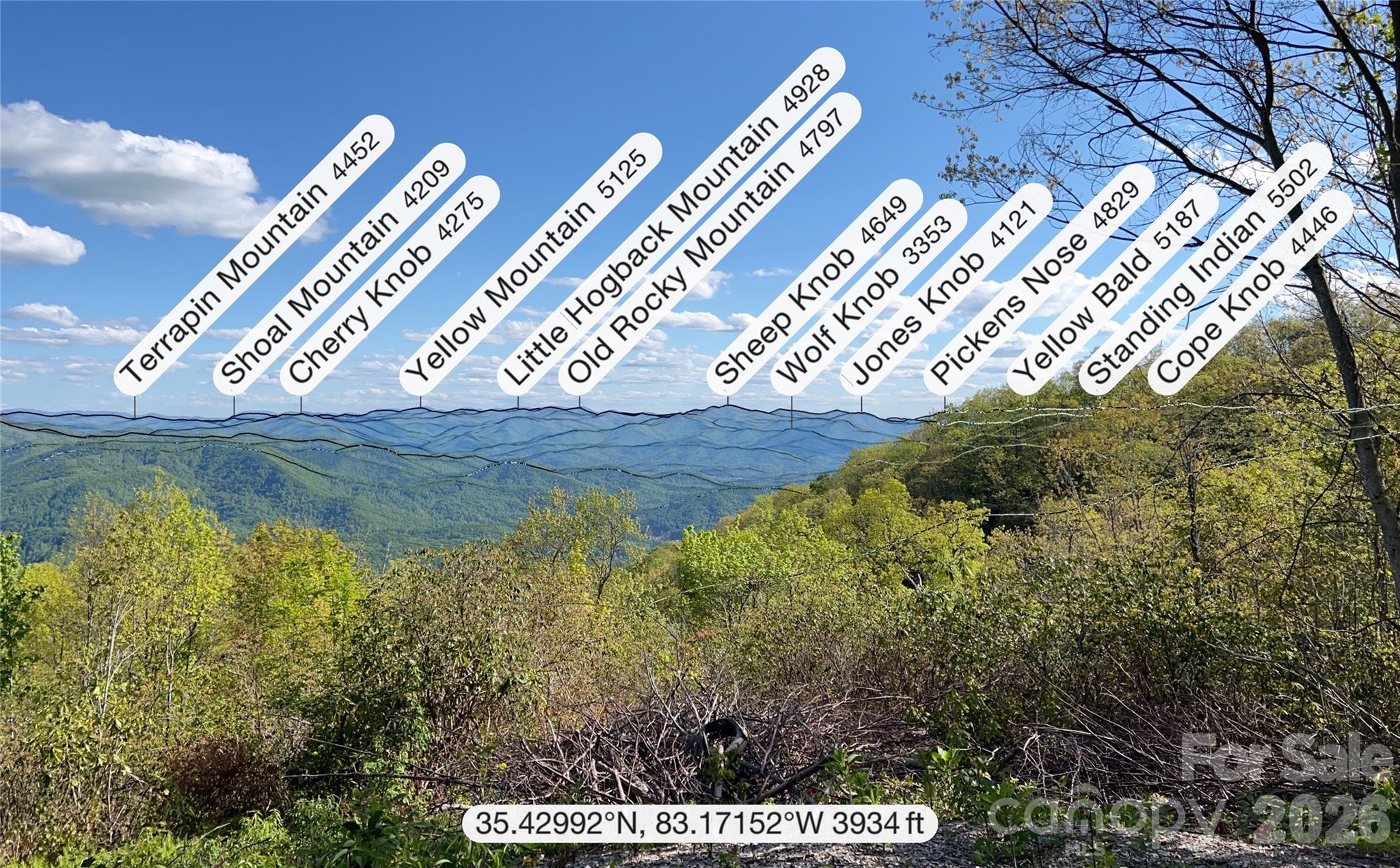 3409 Parris Branch Road Property Photo 16