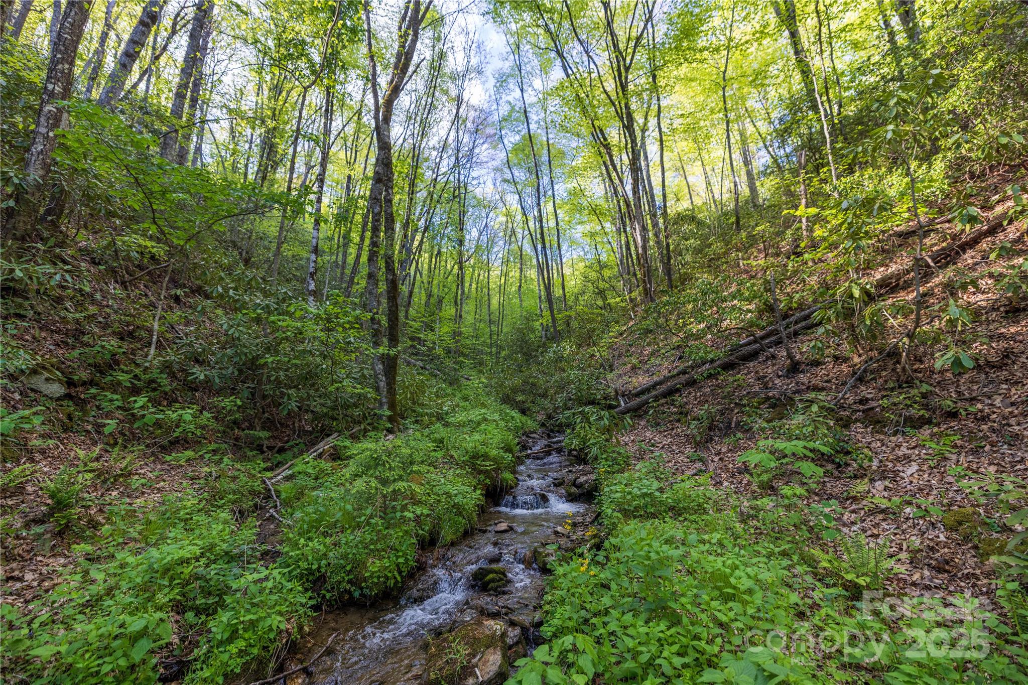 3409 Parris Branch Road Property Photo 17