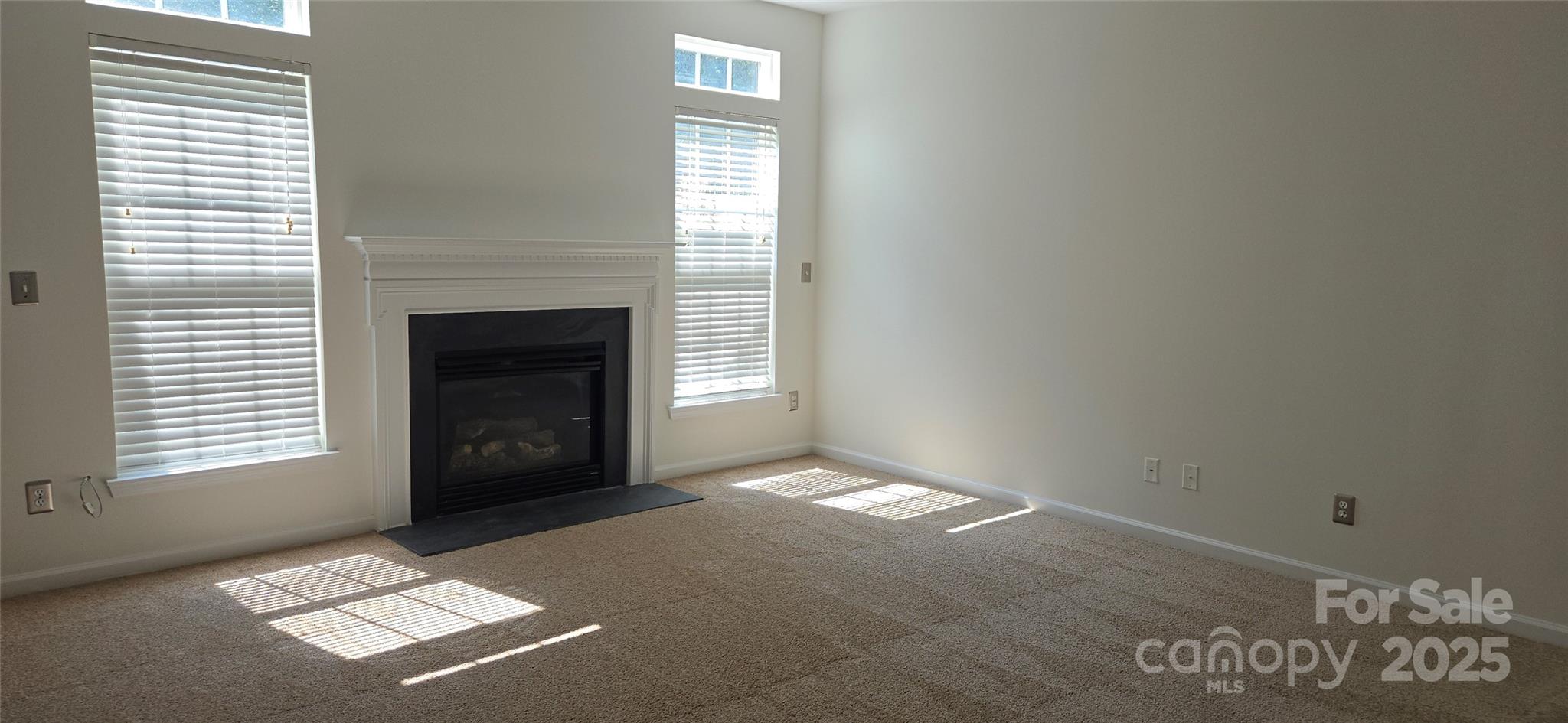 162 Autumn Falls Drive Property Photo 4