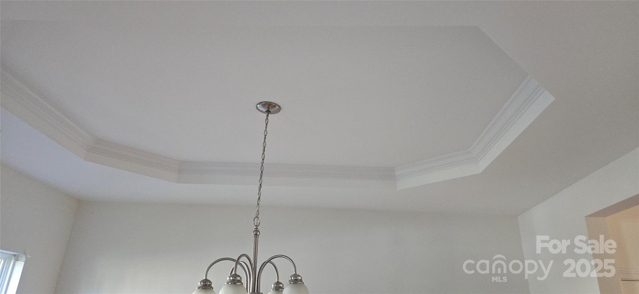 162 Autumn Falls Drive Property Photo 5