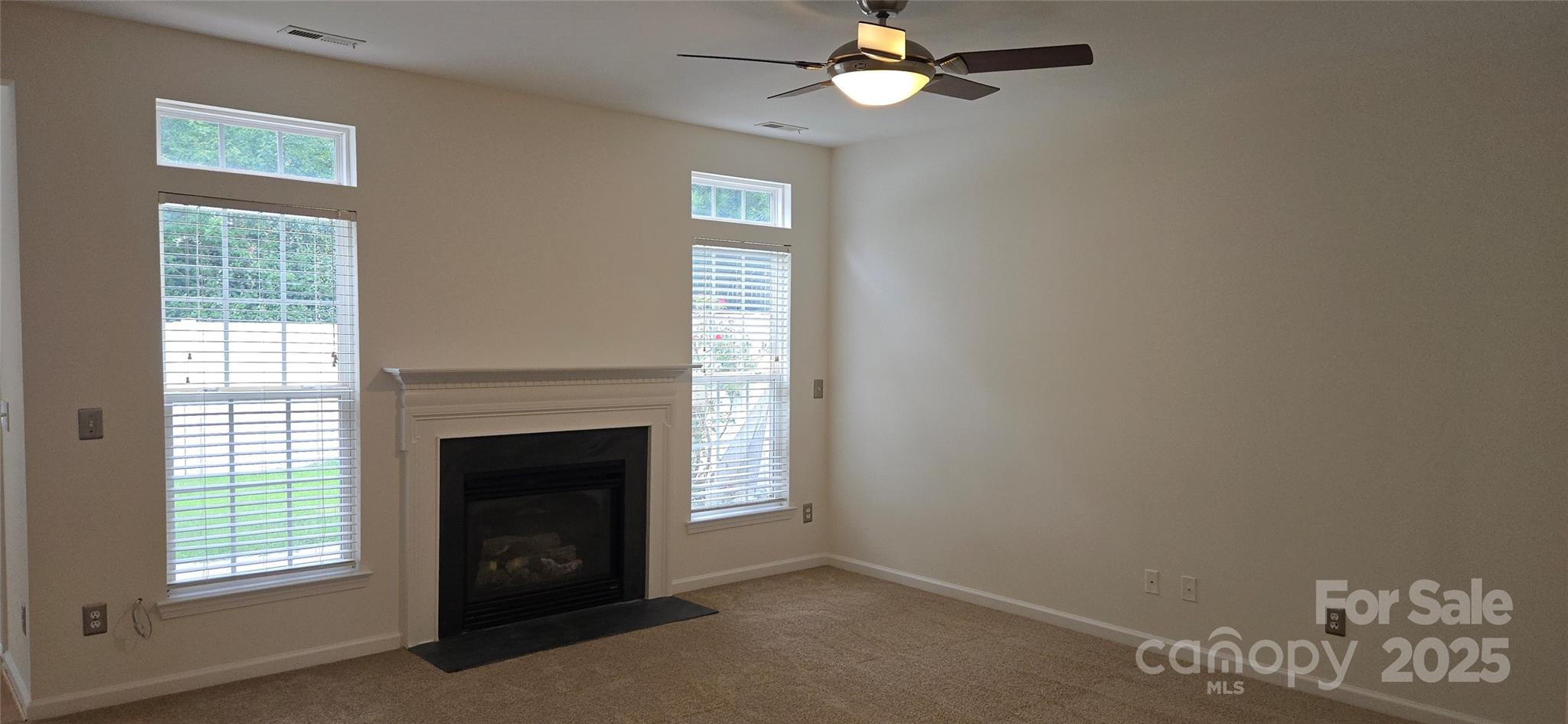 162 Autumn Falls Drive Property Photo 33