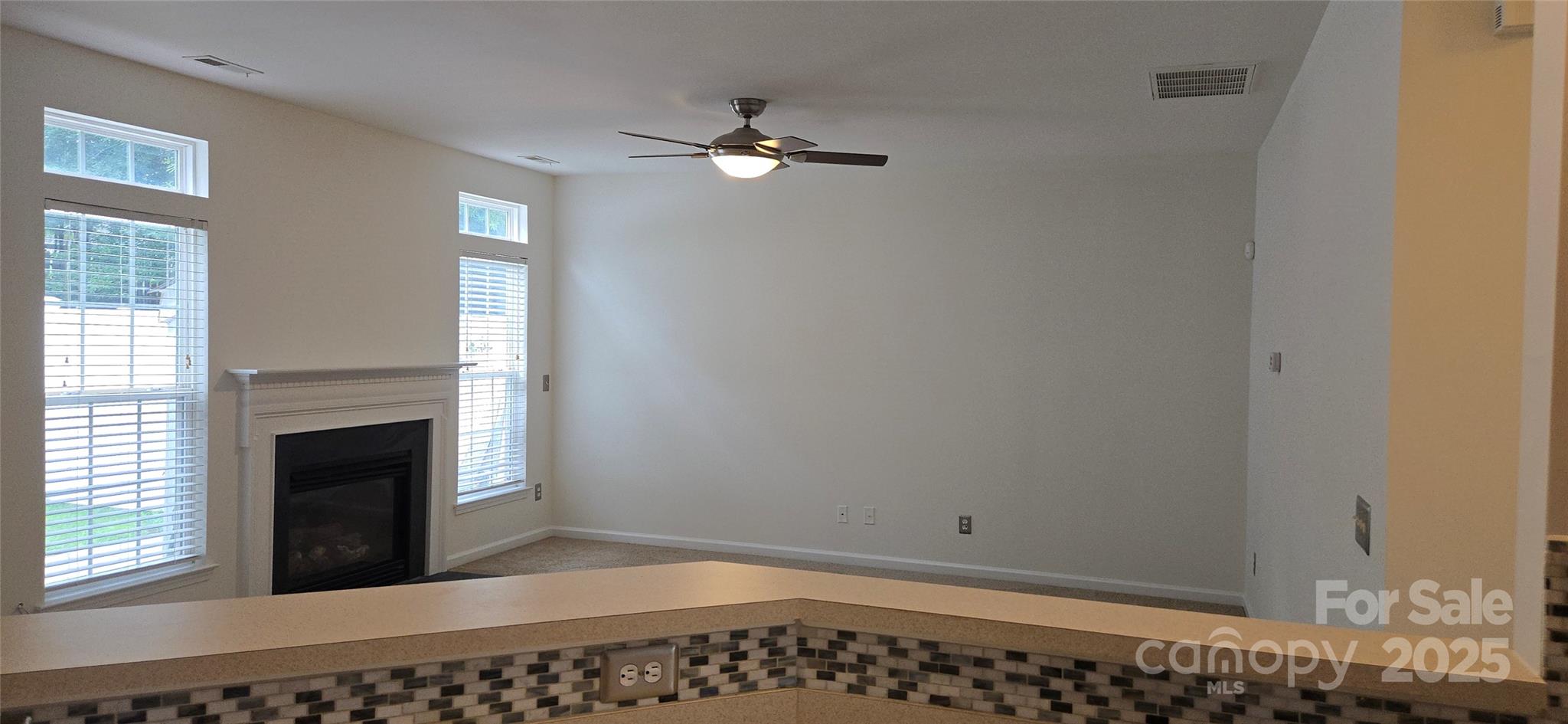 162 Autumn Falls Drive Property Photo 36