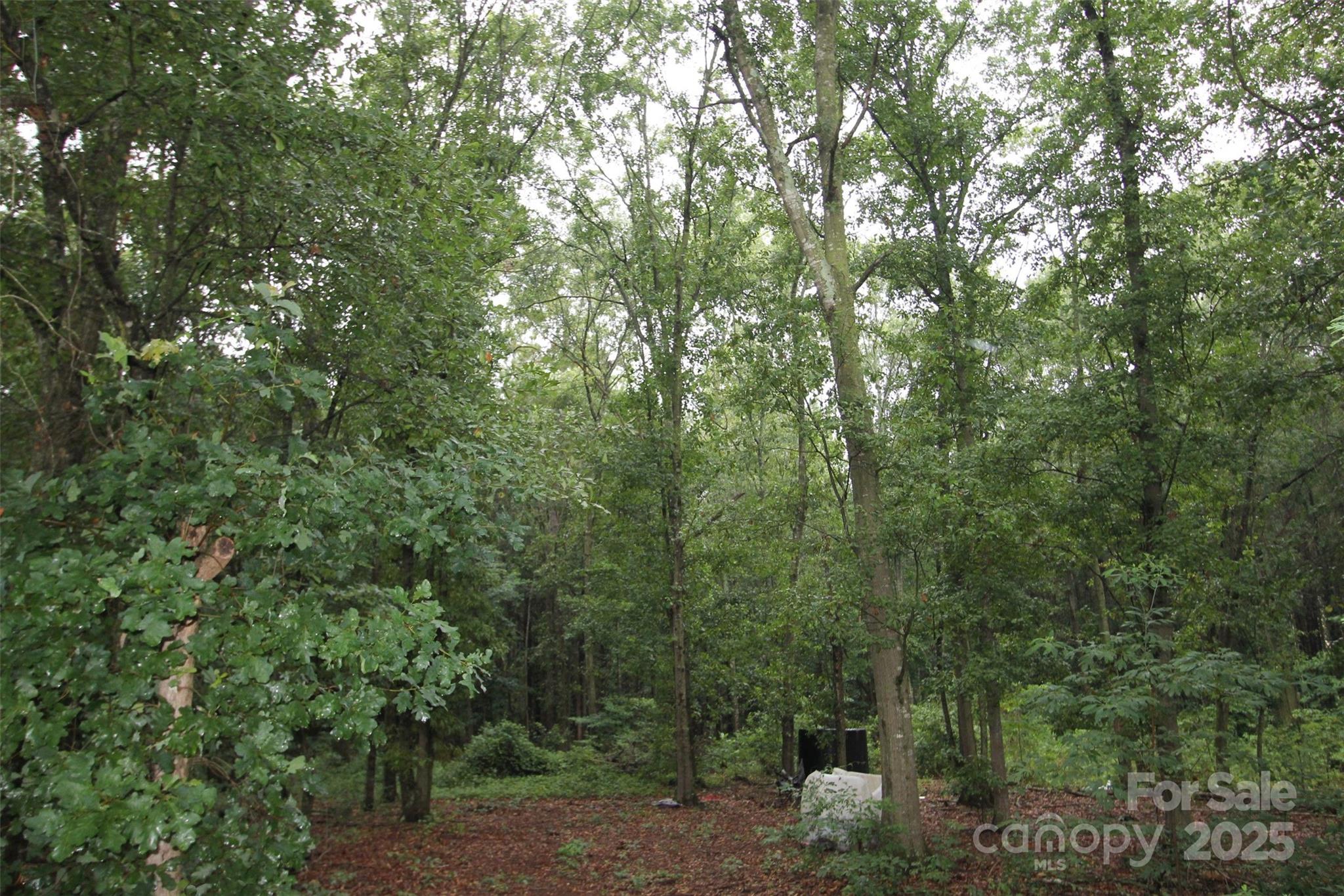 Tbd Rainbow Road Property Photo 2
